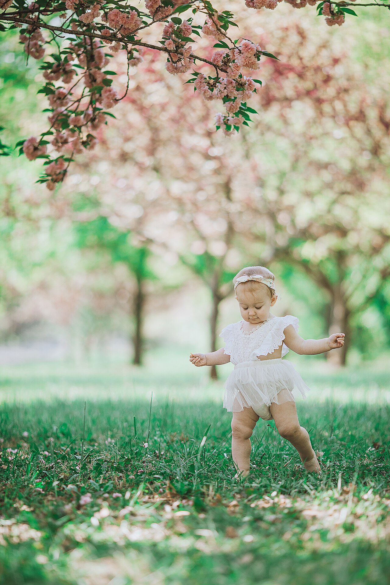 A toddler taking steps outdoors in spring
