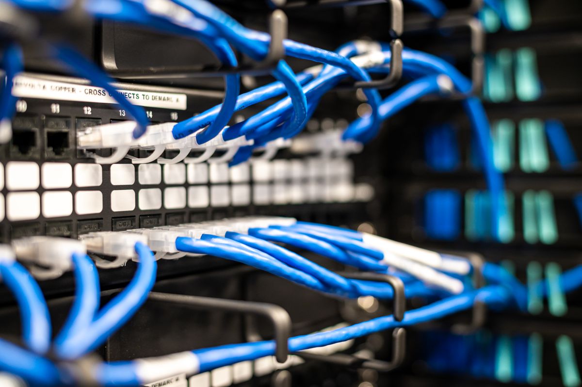 Blue network cables plugged into a patch panel in a data center