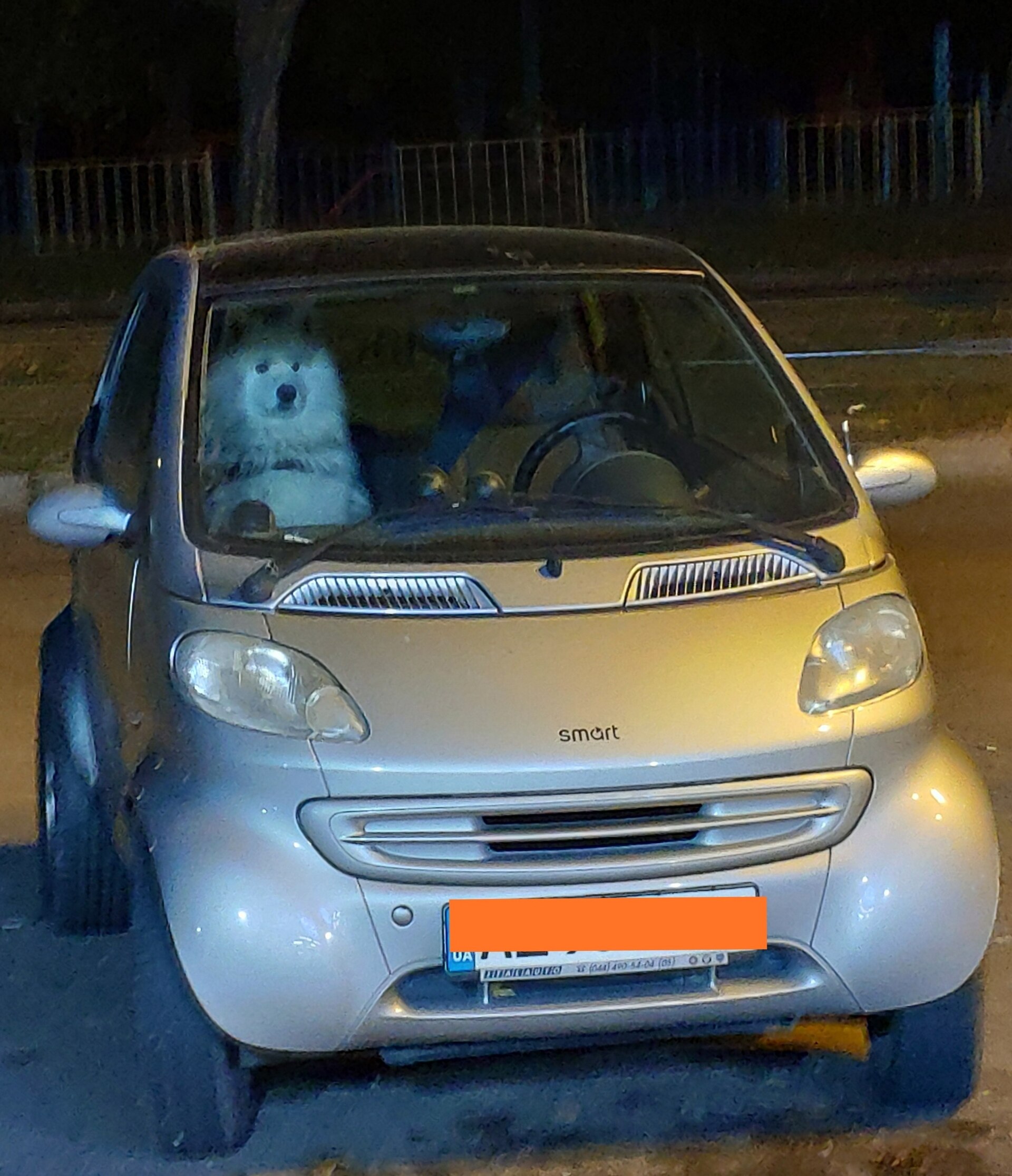 A dog resting inside a car, a small enclosed space