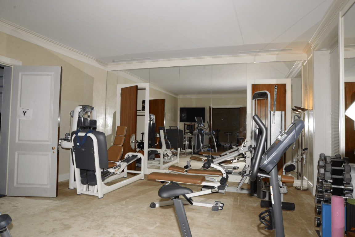EFTA00000257 - Well-equipped home gym featuring various exercise machines free weights and mirrors on the wall