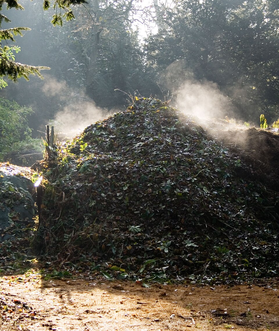 A compost heap in a garden