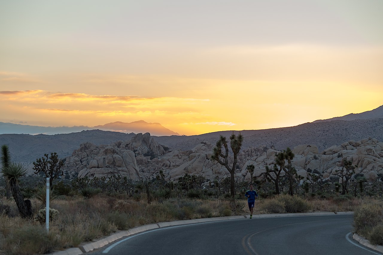 Jogger at Sunset (25141311668)
