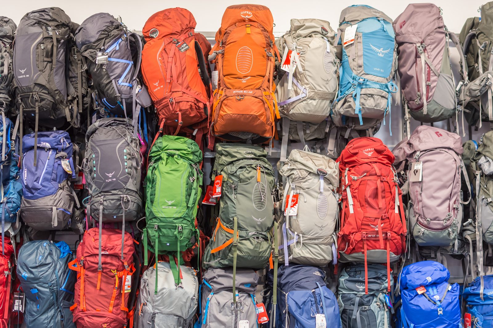 Two backpacks hanging on a wall ready for travel
