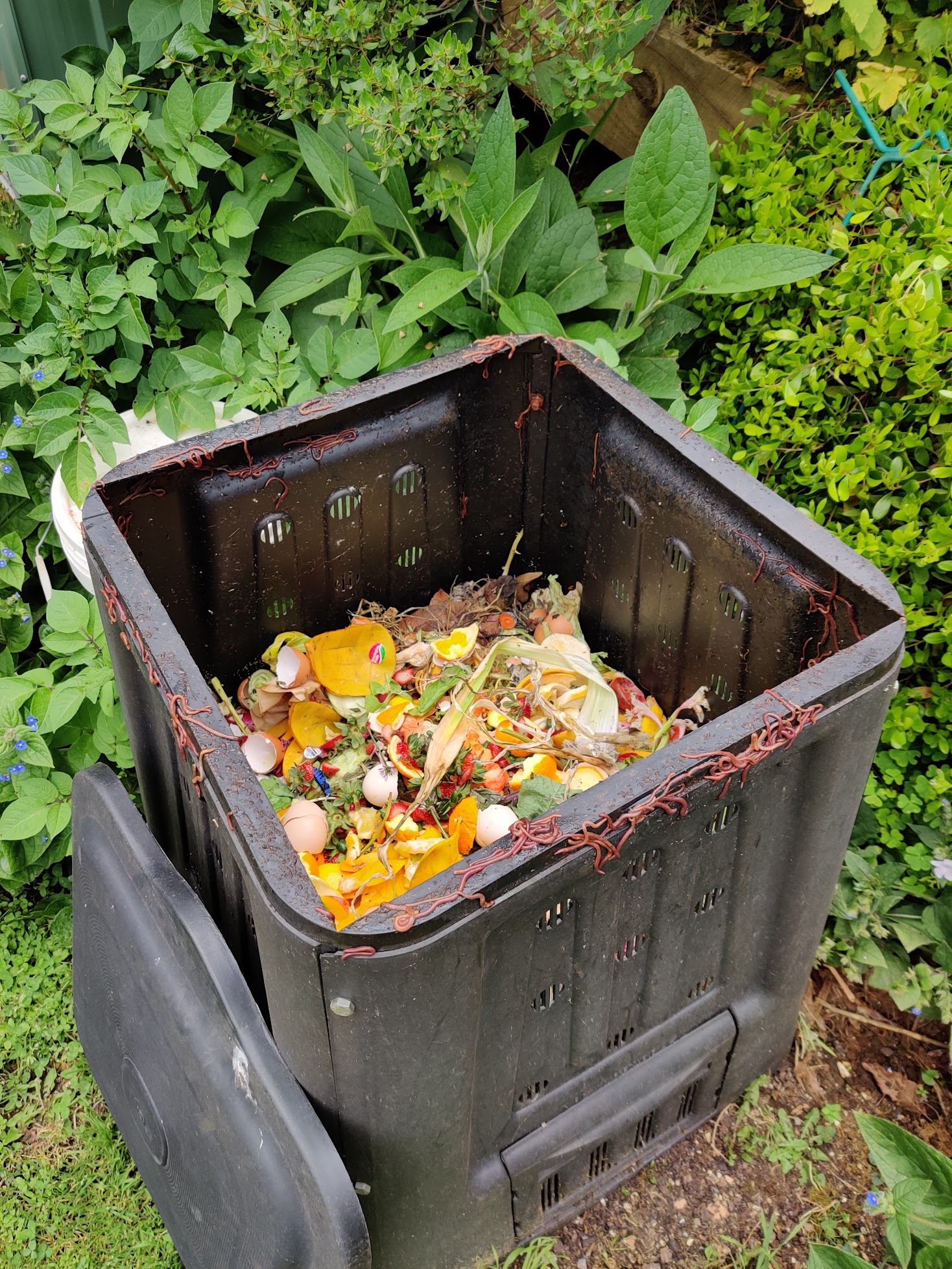 Compost ready for use in a garden bed