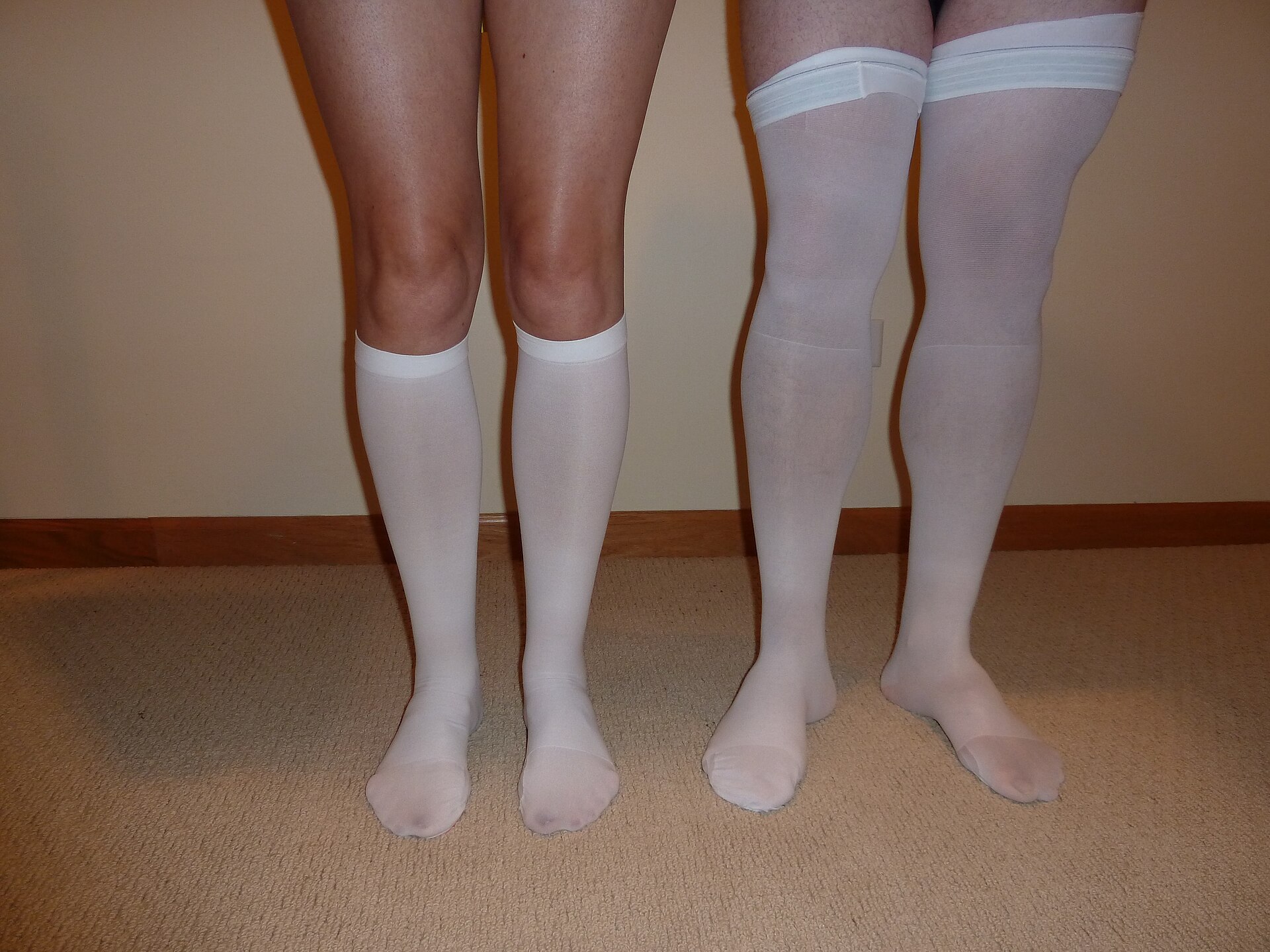 Compression stockings in two lengths