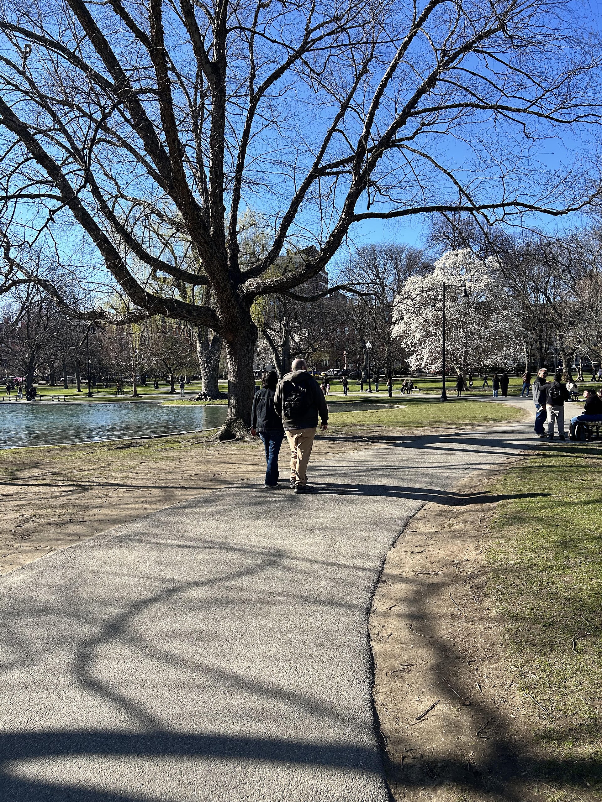 A person walking in a park