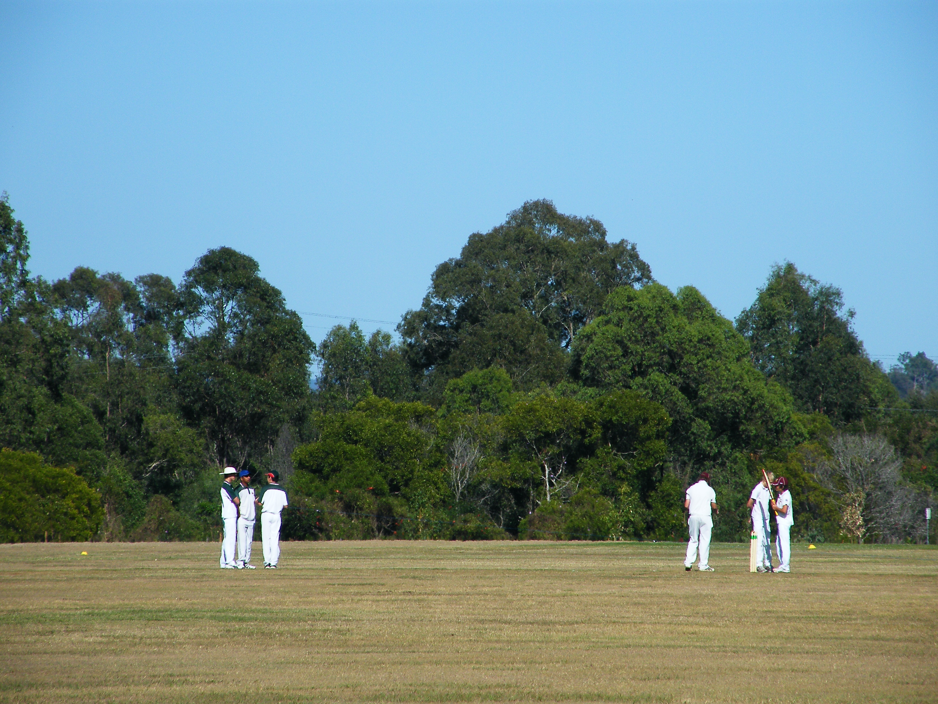 A cricket match in progress on a grass field