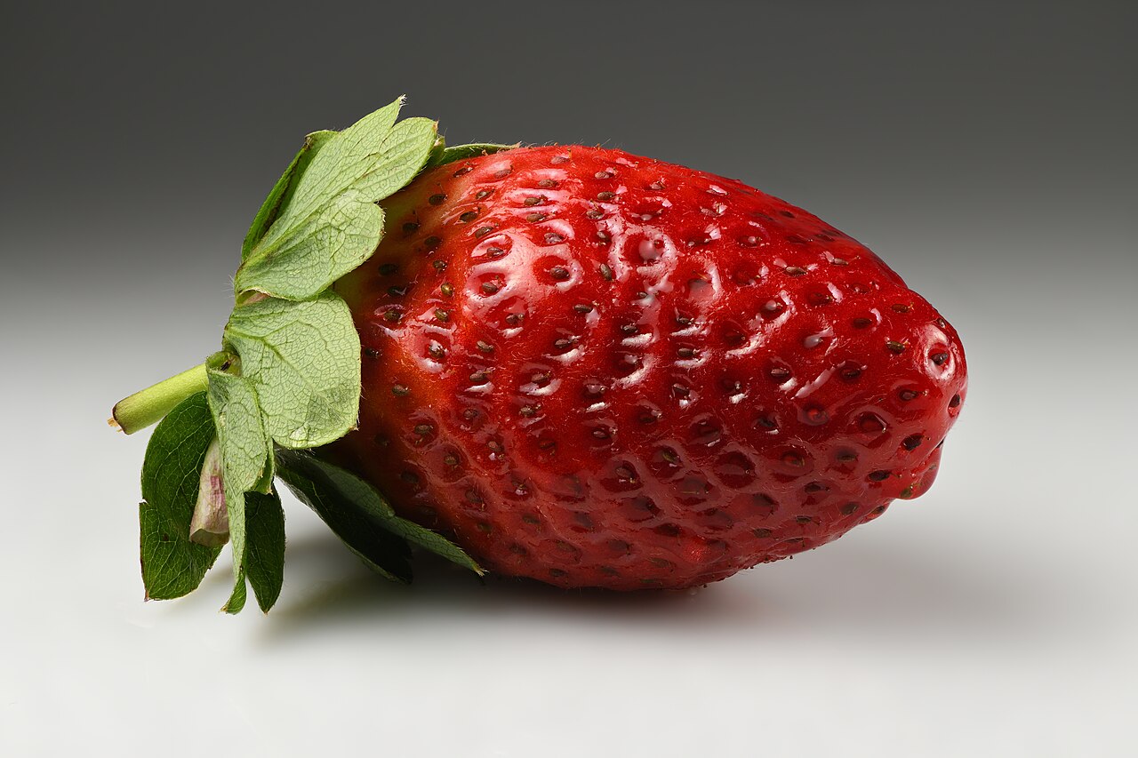 A single ripe garden strawberry