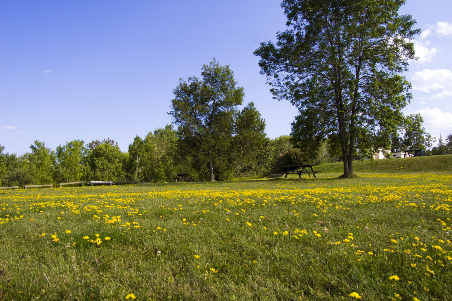 The town of Temiskaming Shores in northern Ontario, where Jonathon Pearce lives