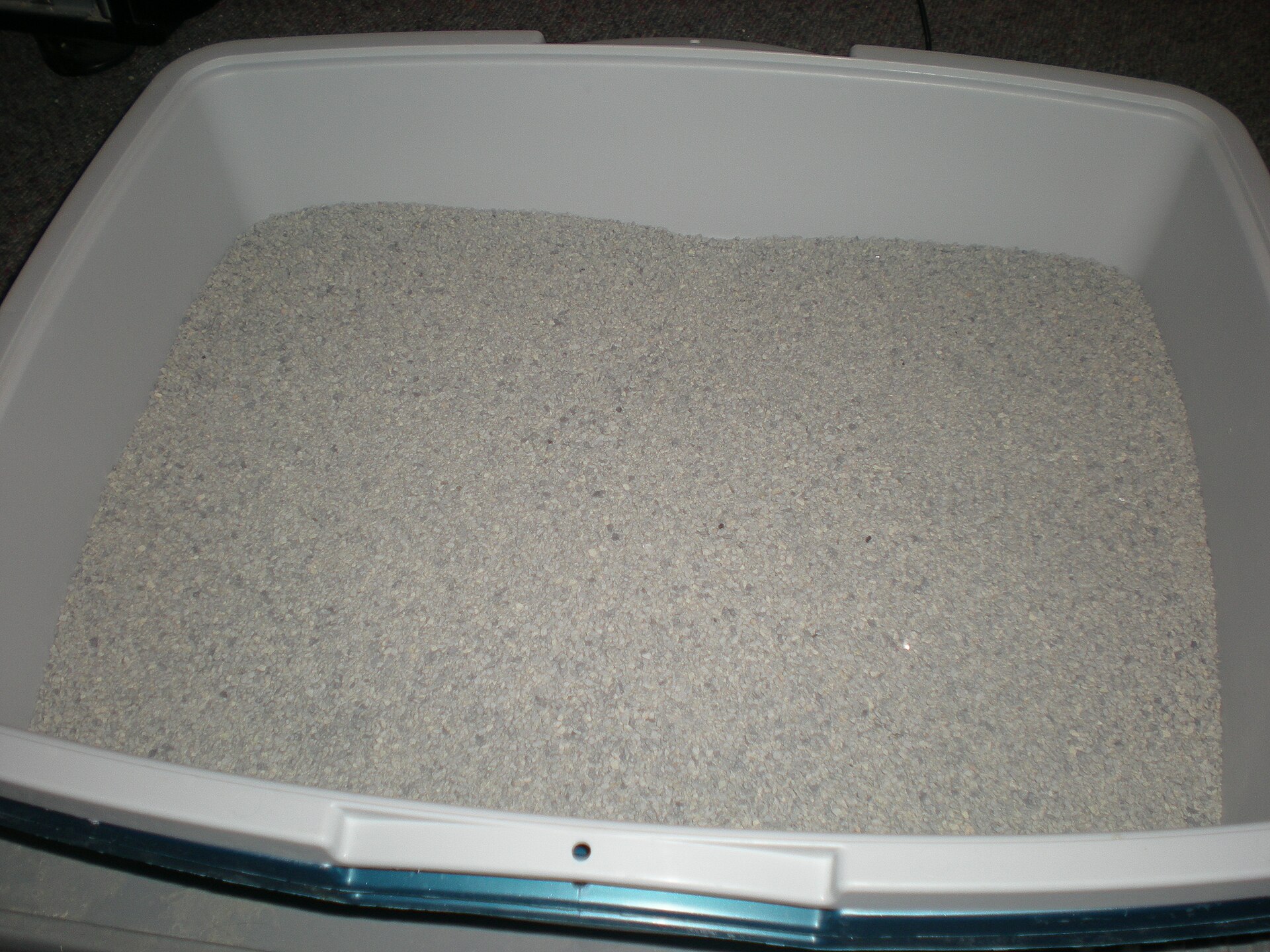 Fresh cat litter in a tray