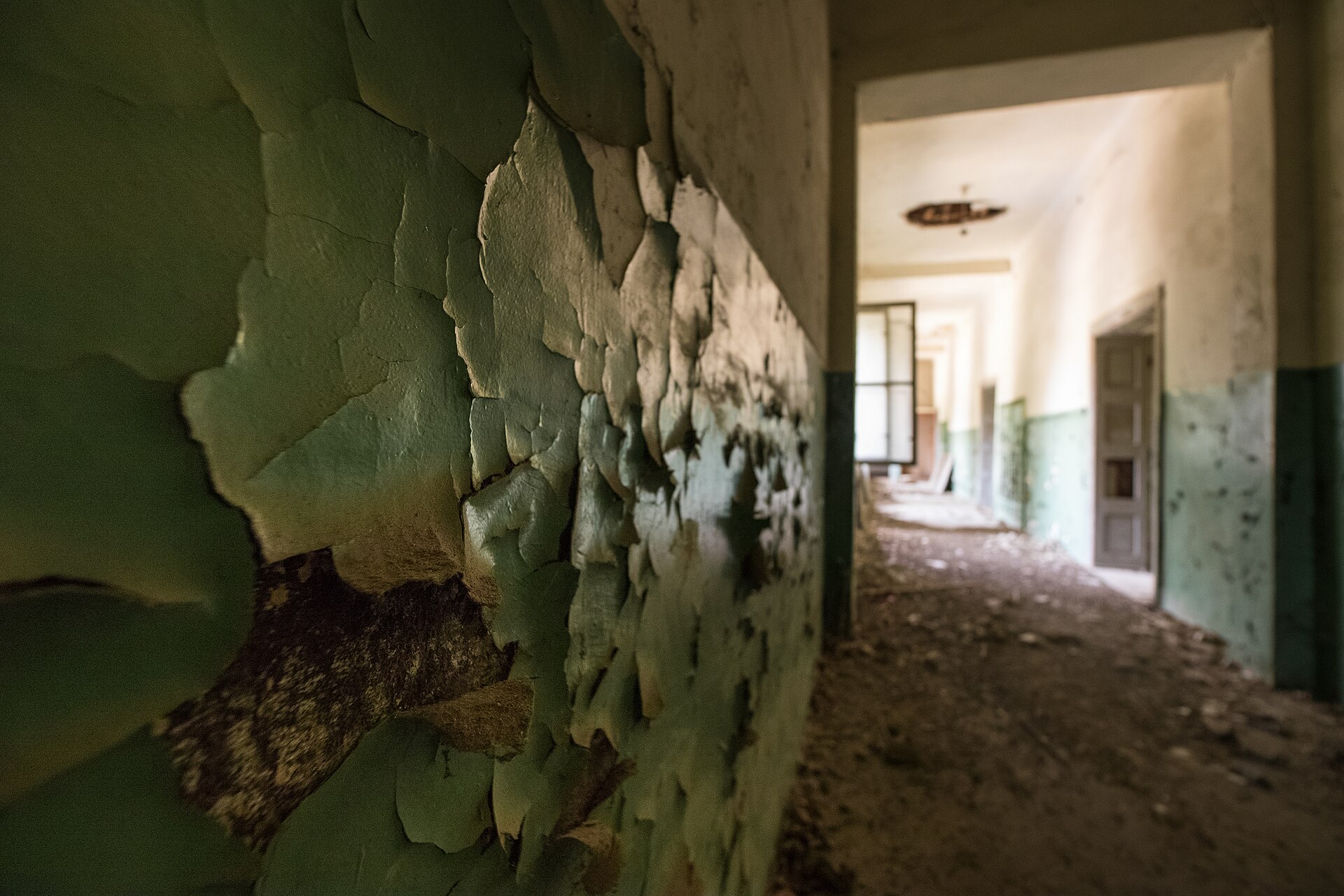 Peeling paint curling off an interior wall