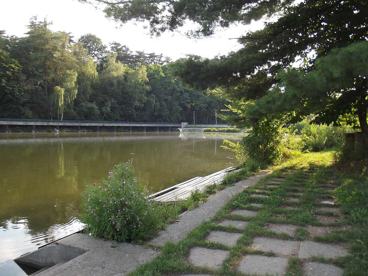 Swimmers in an open water swimming area