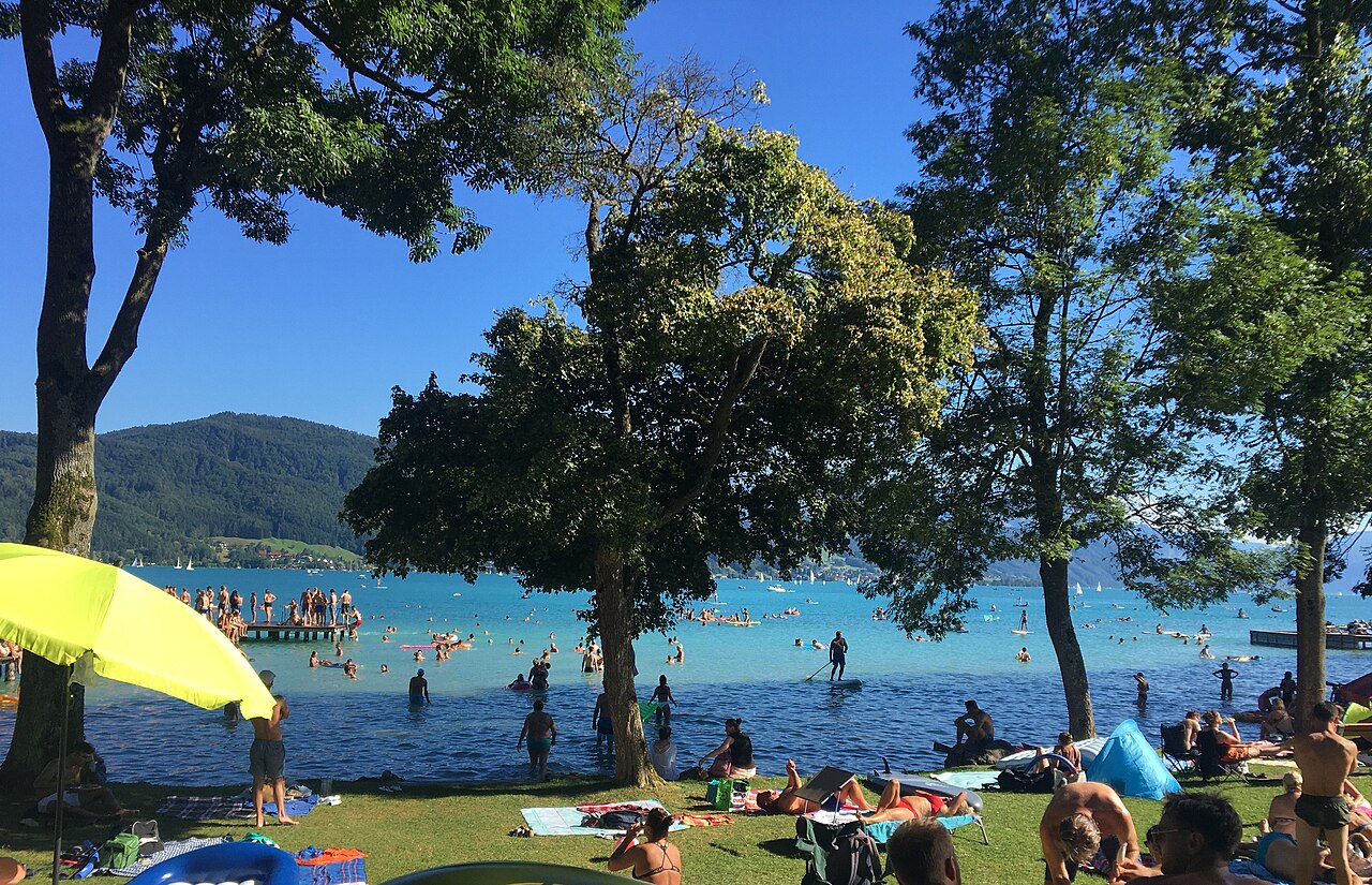 Swimmers in a lake near the shore