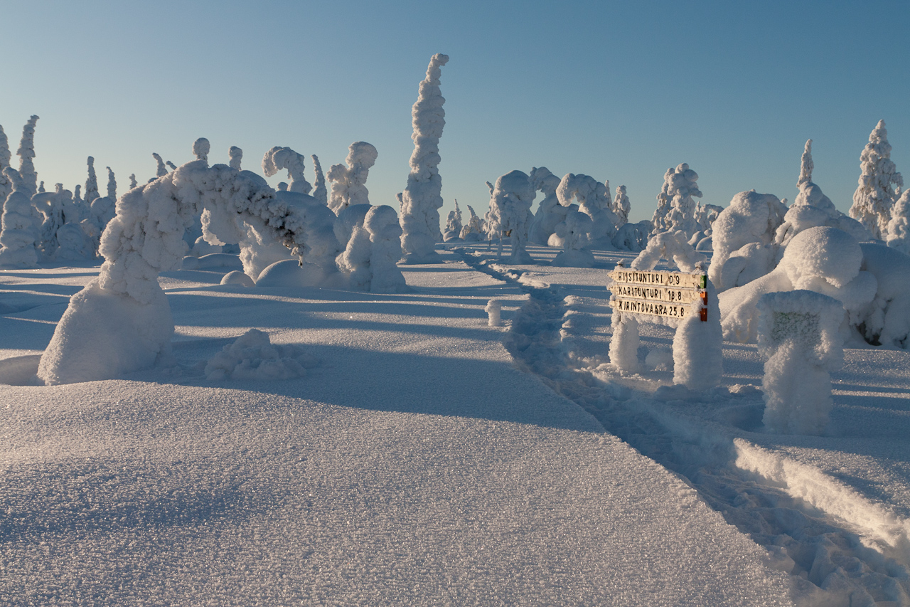 Hiking in winter conditions on a snowy path