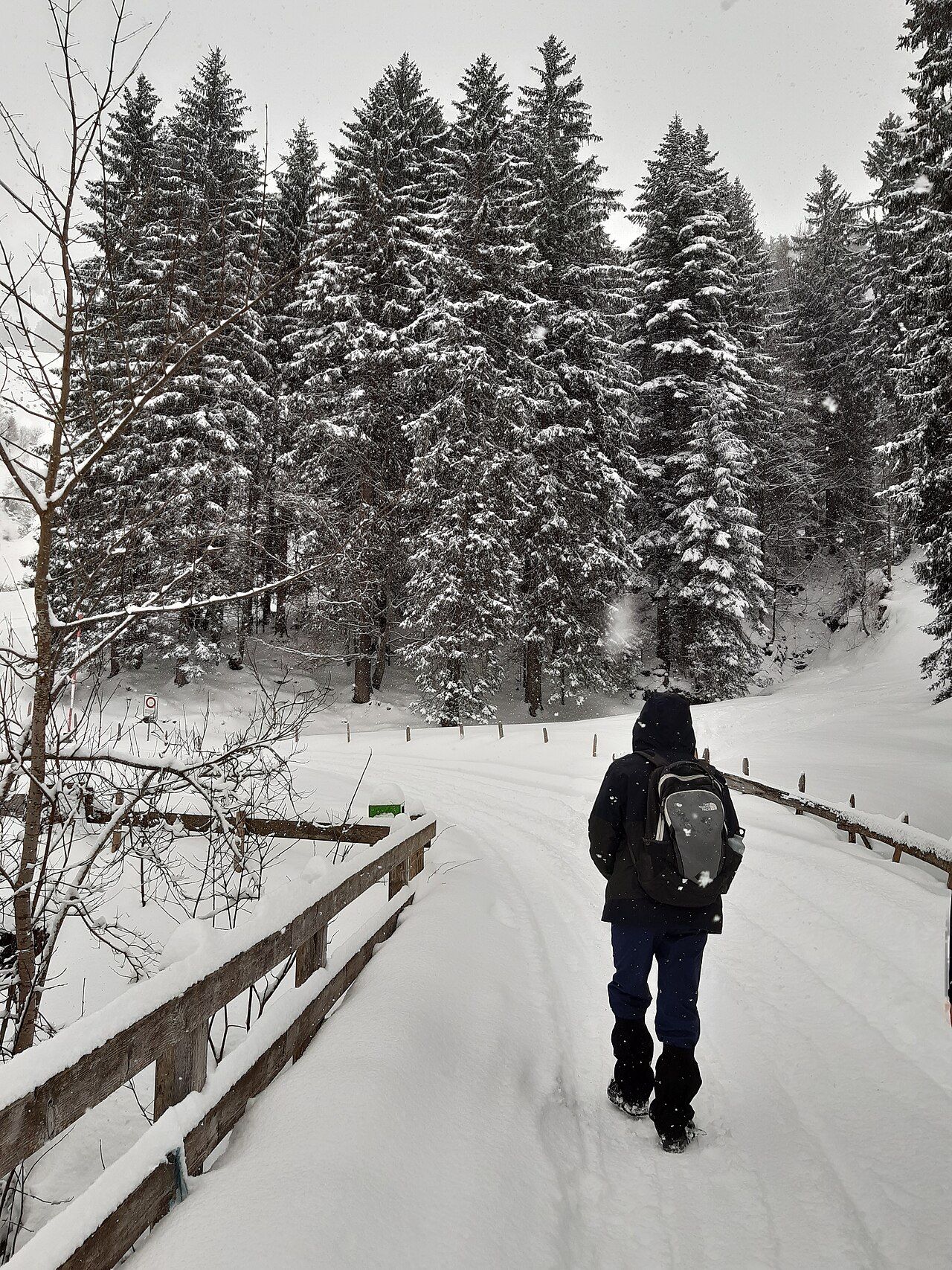 Winter hiking in the mountains above the snow line