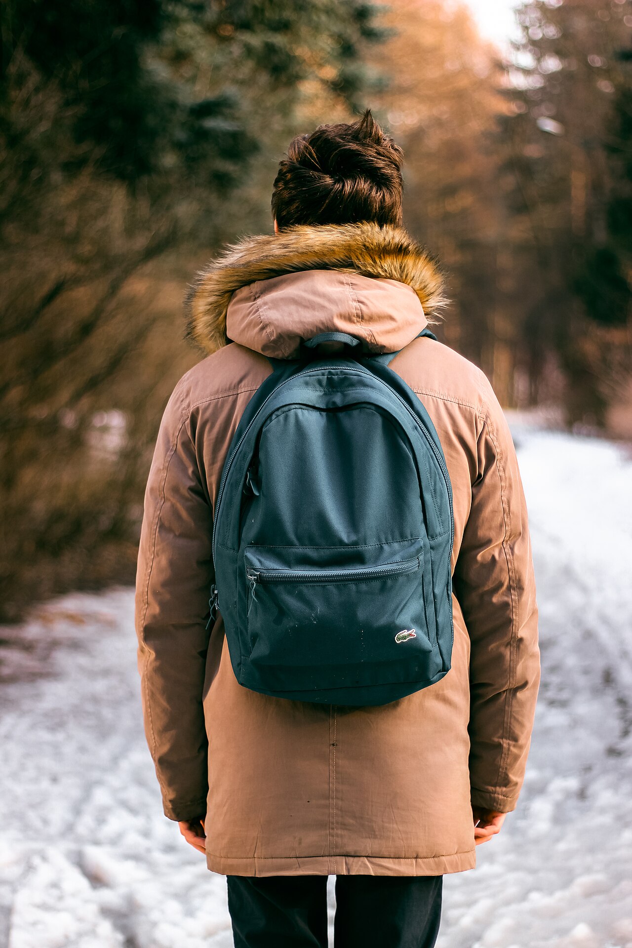 A hiker on a trail in cool weather