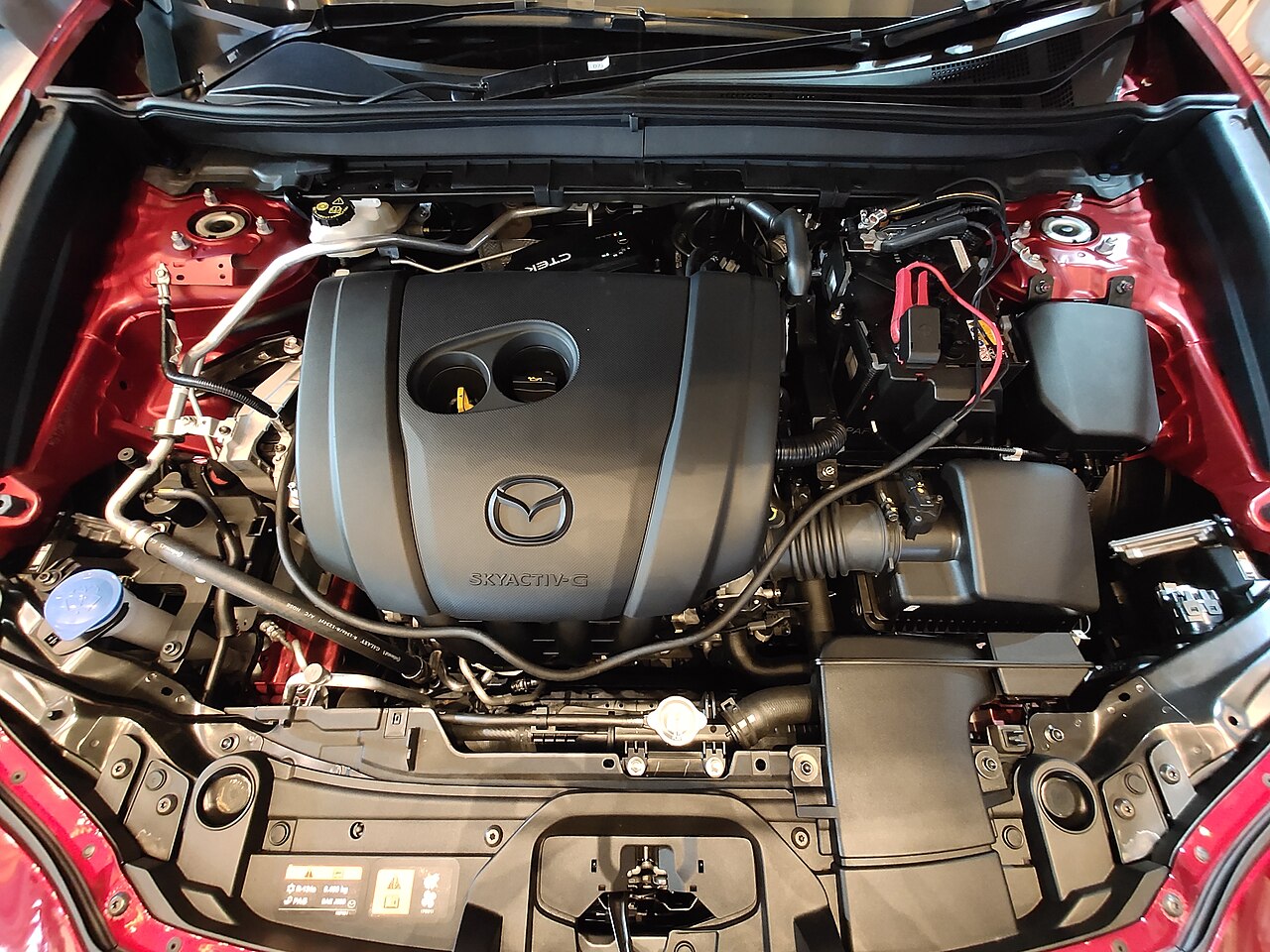 Why does your car make a squealing noise when starting