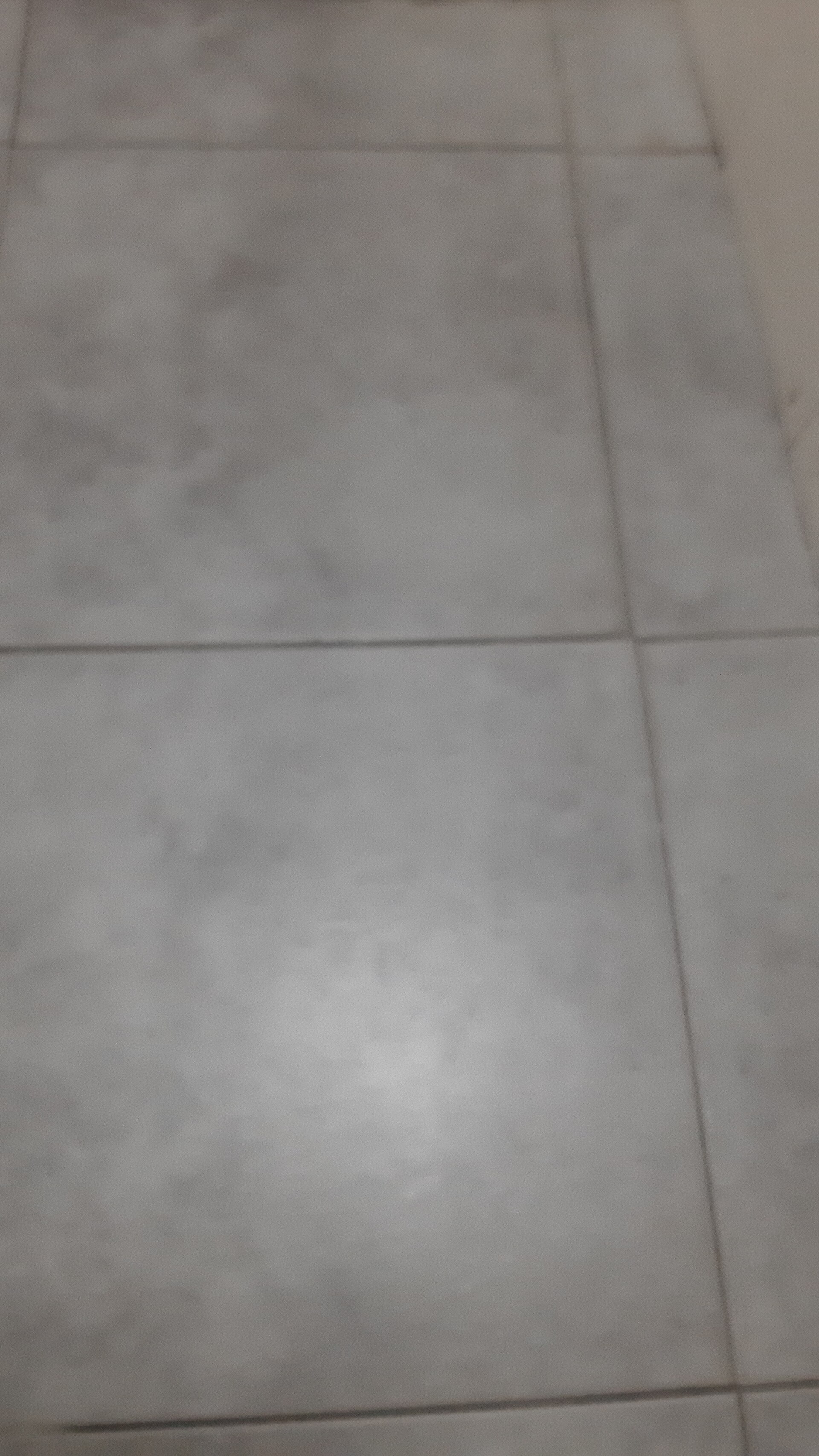Grey floor tiles with visible grout lines