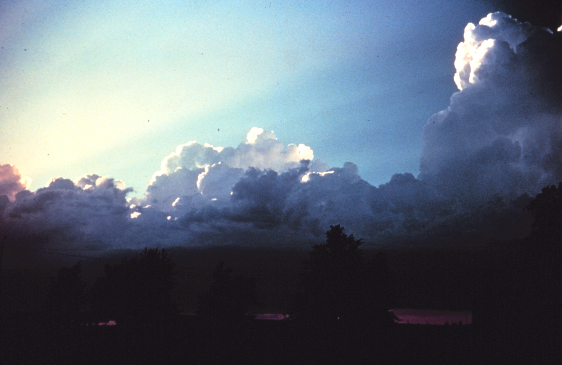 A towering cumulus cloud building upward