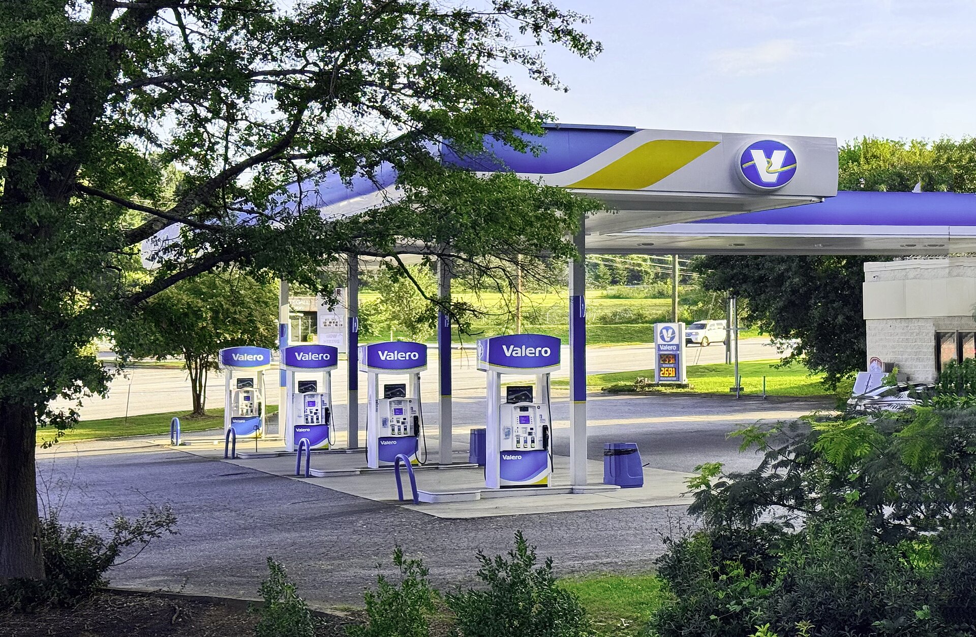 What is the difference between petrol, diesel and hybrid cars?