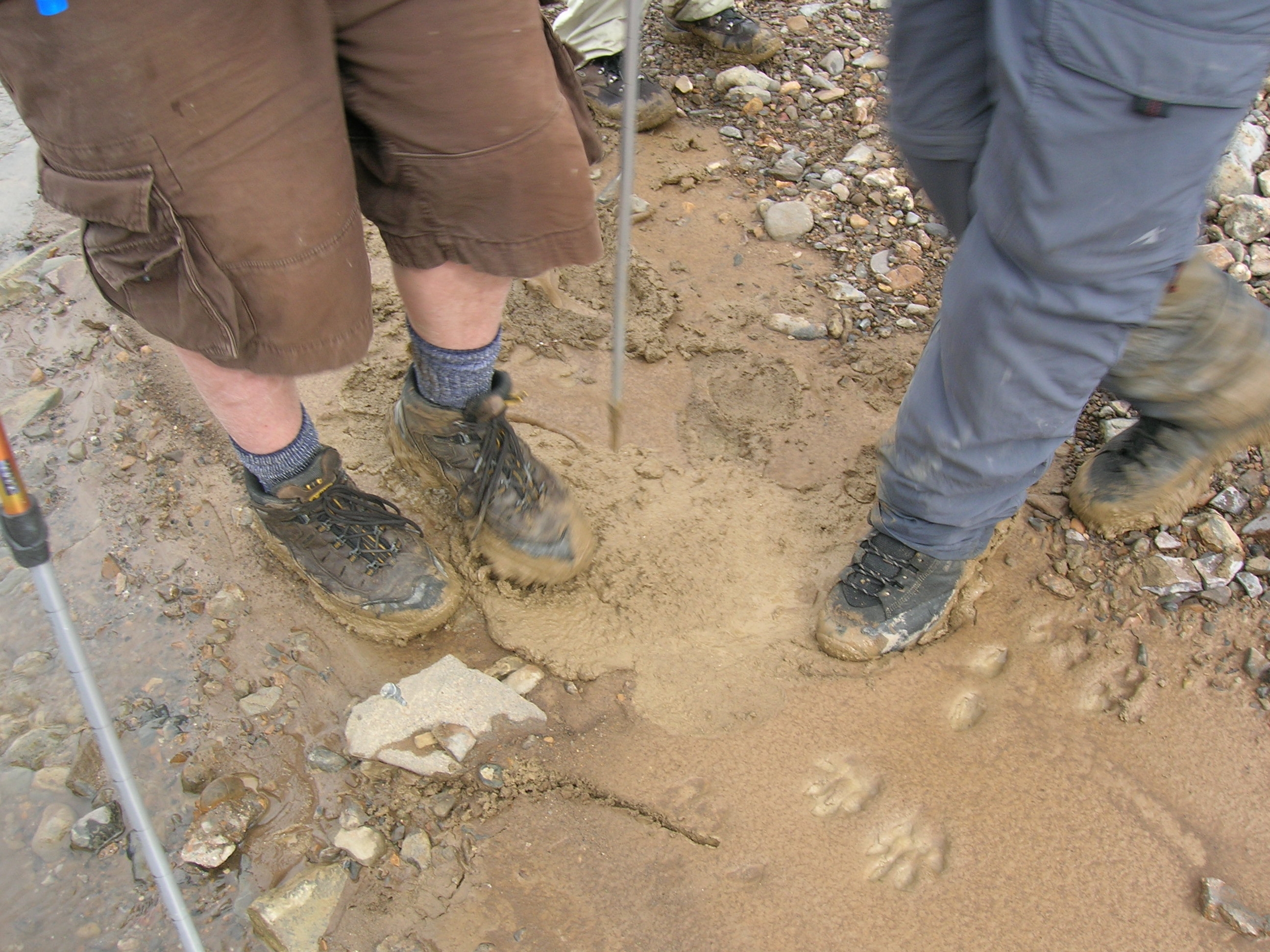 Muddy hiking boots after a wet hike
