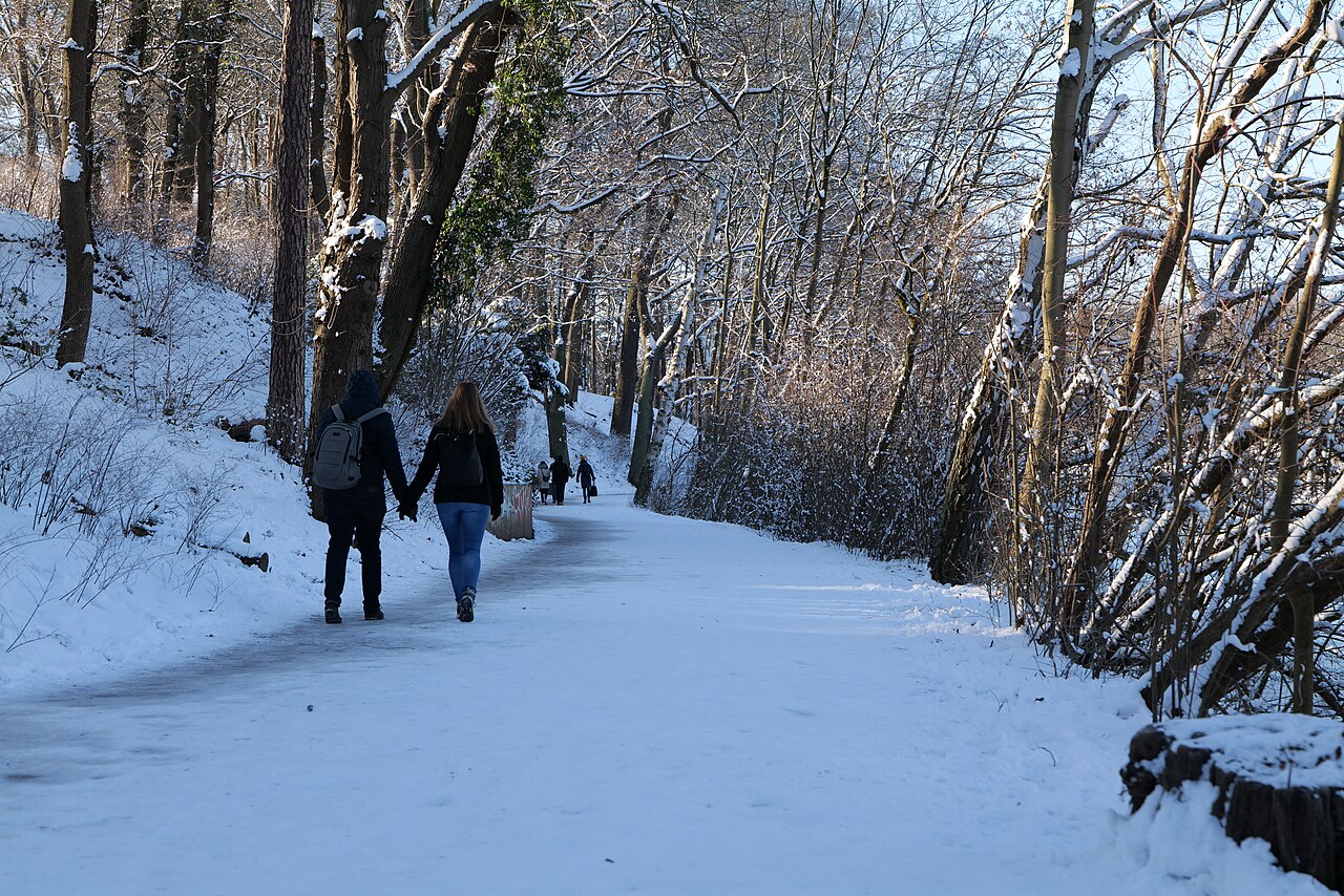 Two people walking along a snow-covered path between trees