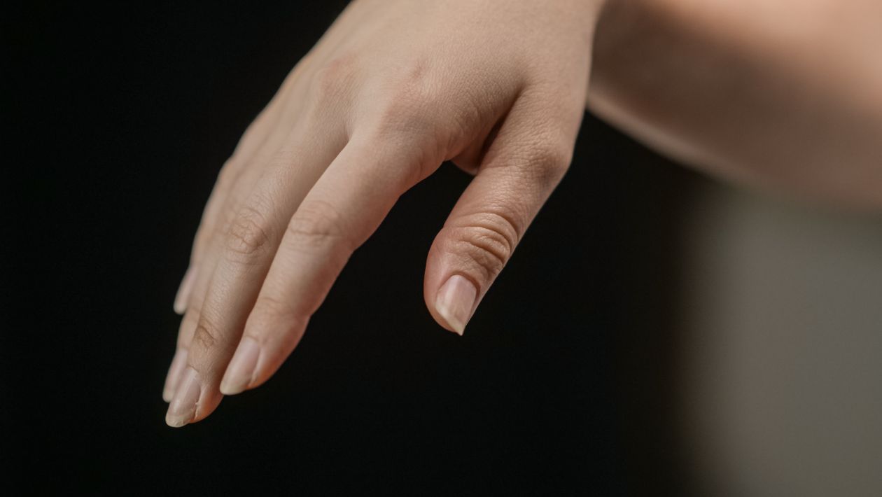 Fingers of a hand in close view
