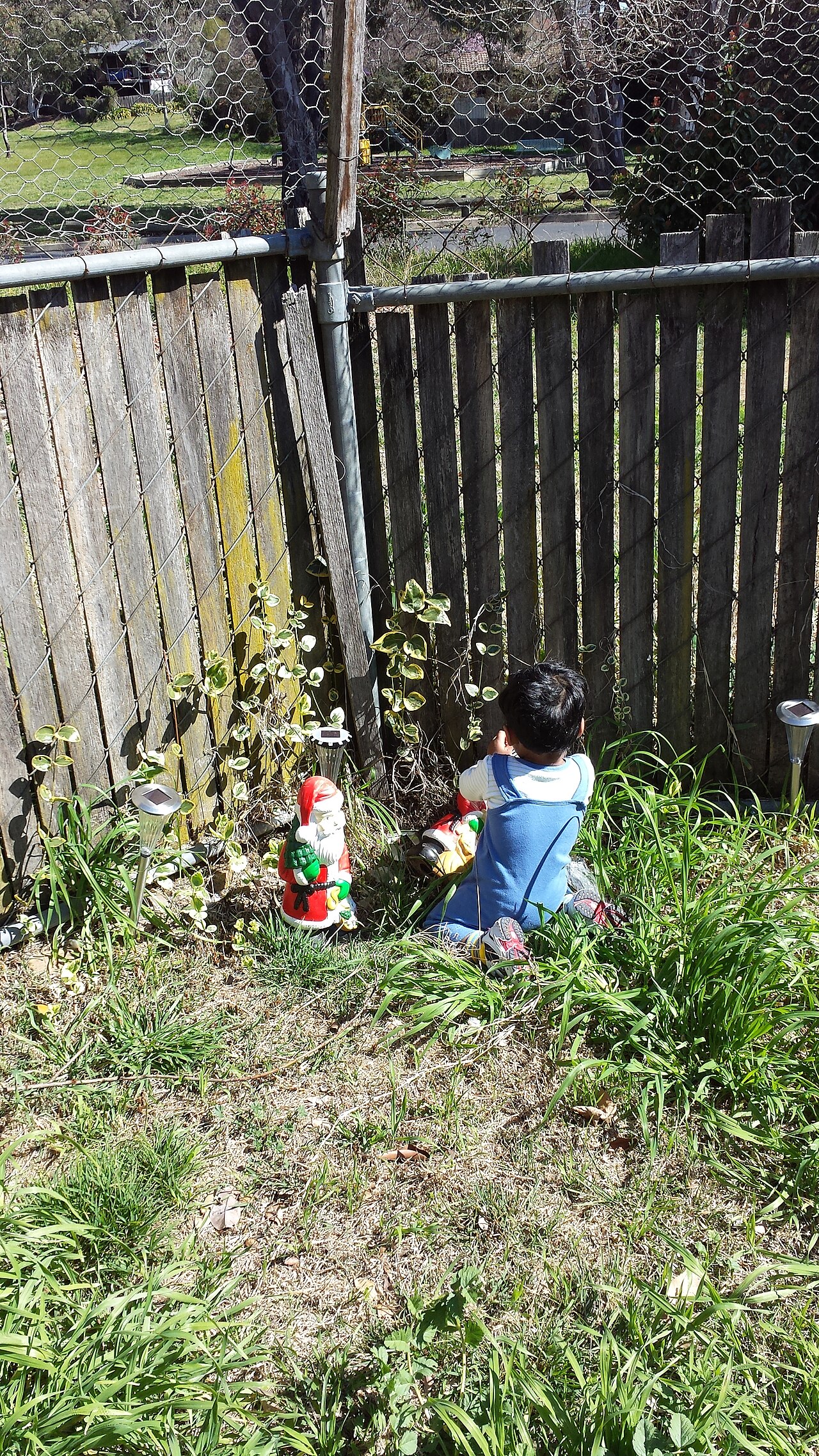 A young child at play outdoors, where much of the early curiosity behind why questions takes shape