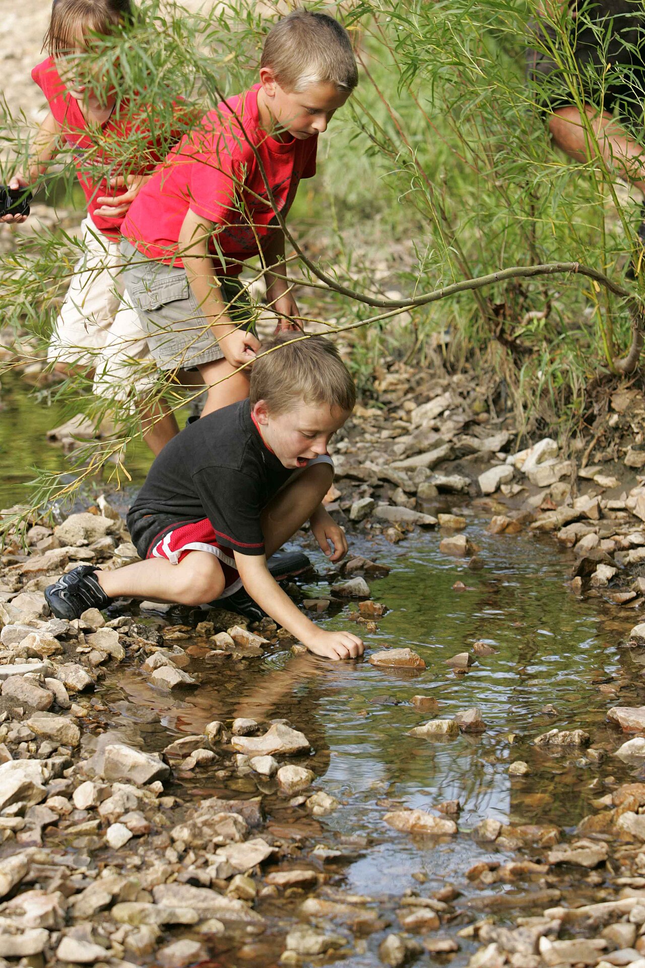 Children playing outdoors get a steady stream of new things to ask about