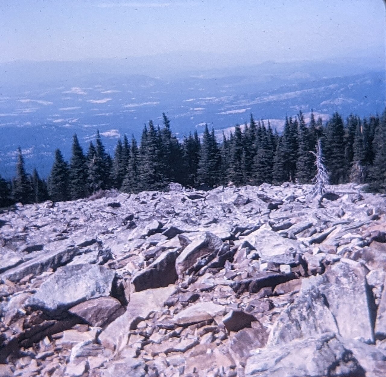A family on a road trip in the late 1960s near Mount Spokane