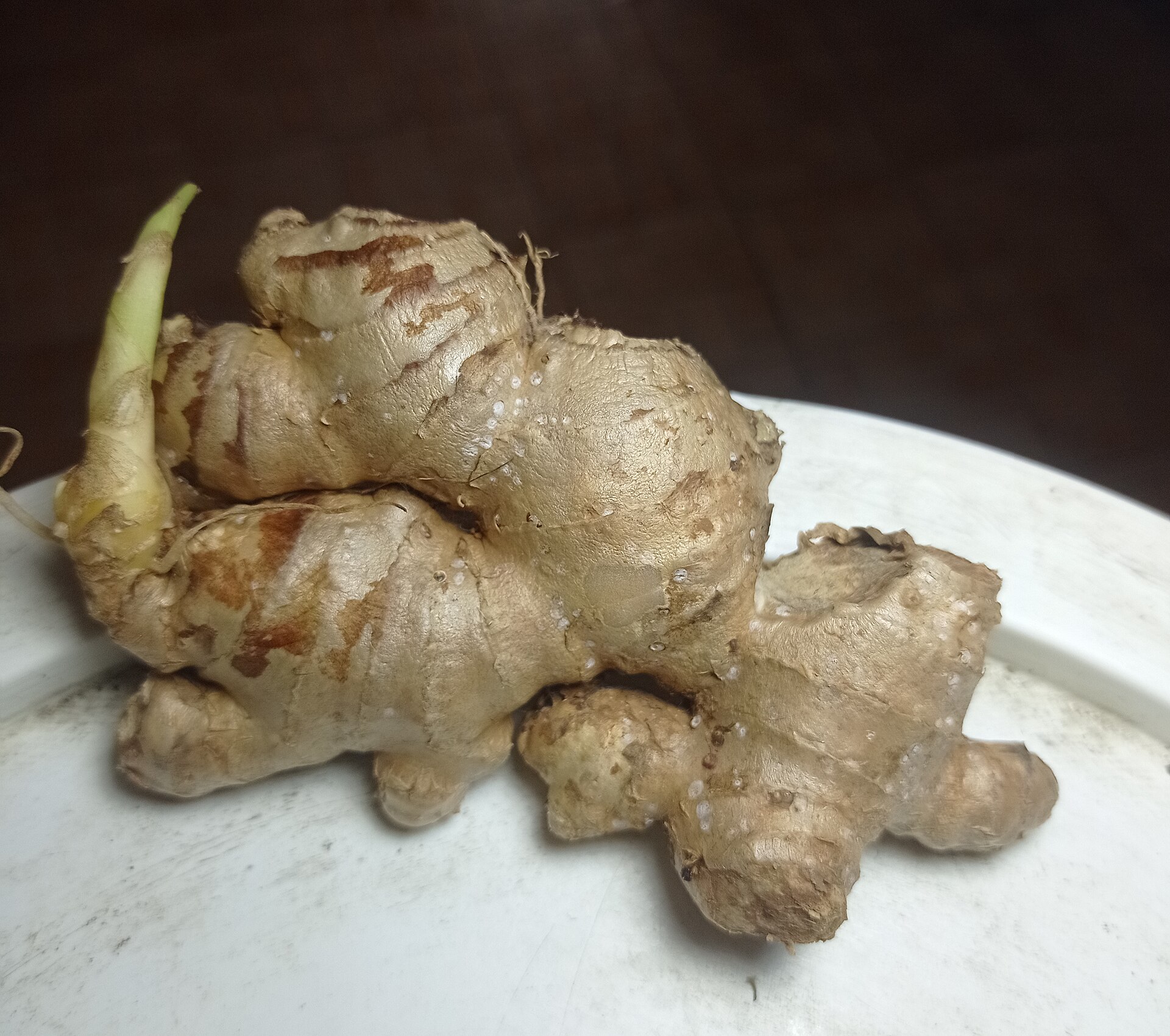 A fresh ginger root with a small sprout rests on a plate