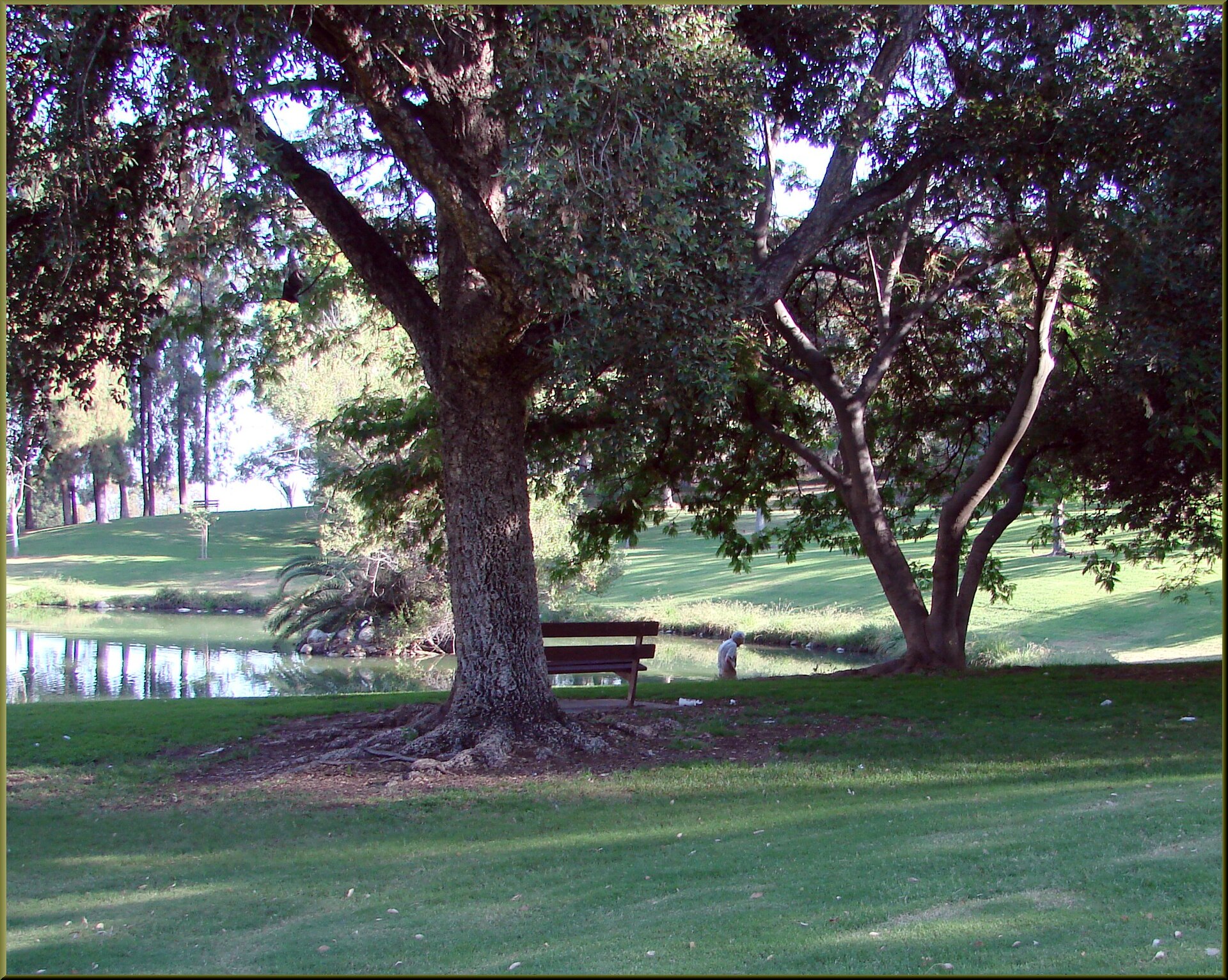 An older man walking in a park