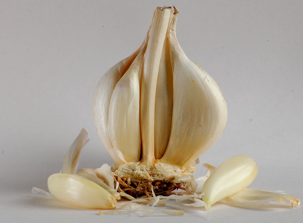 A garlic bulb with loose cloves beside it