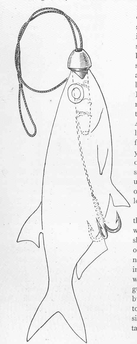A vintage diagram of a dead-bait spinning rig with a special sinker