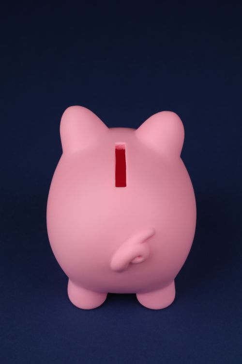 A pink piggy bank seen from behind against a dark background