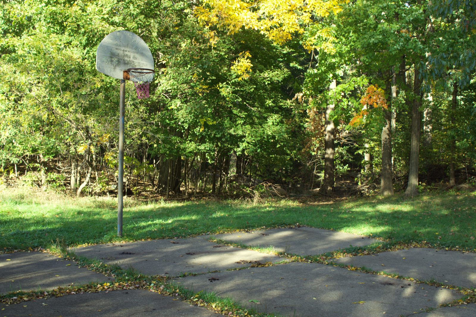 An empty outdoor basketball court with a hoop under a clear sky