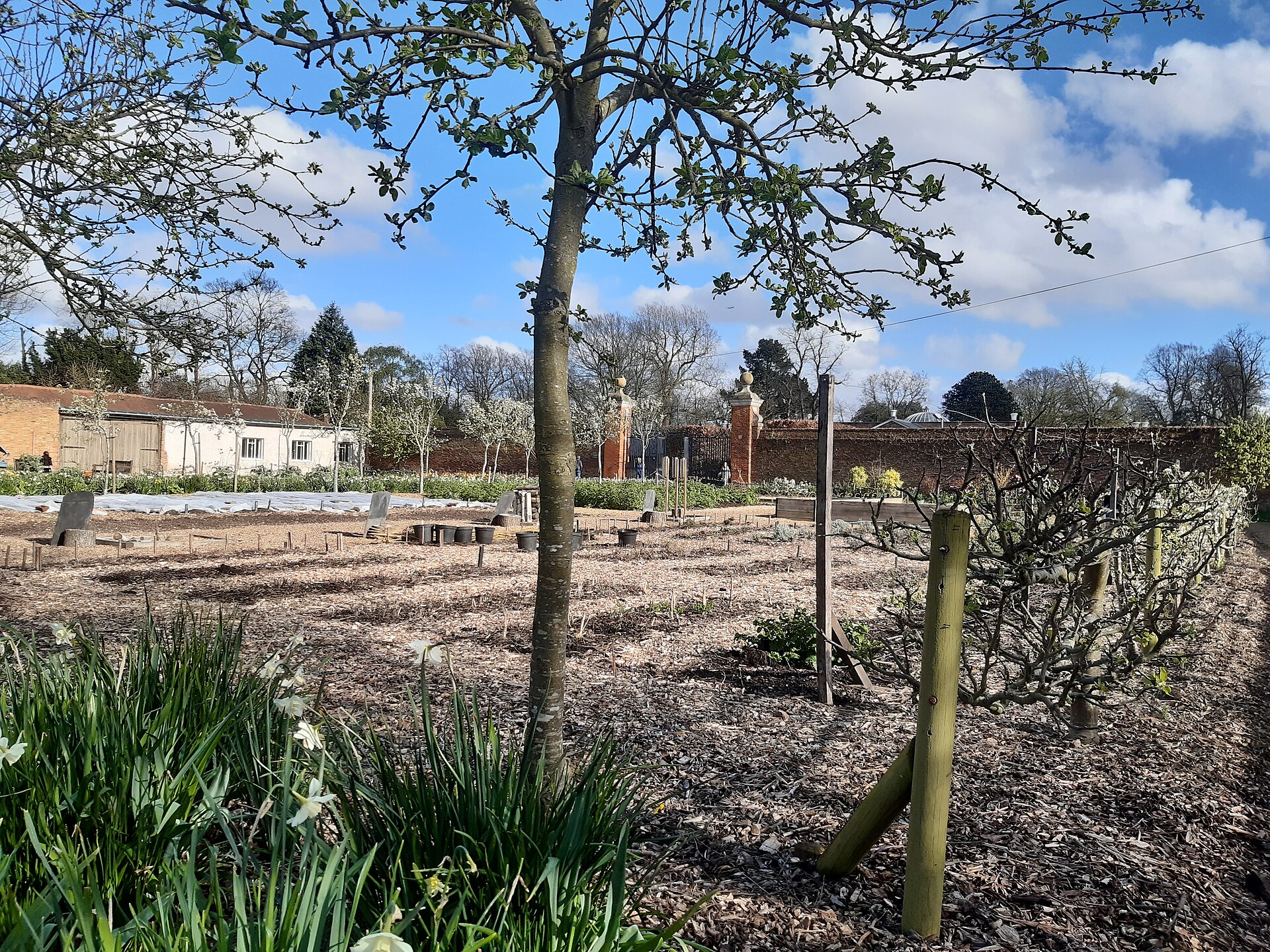 Vegetable beds in a kitchen garden