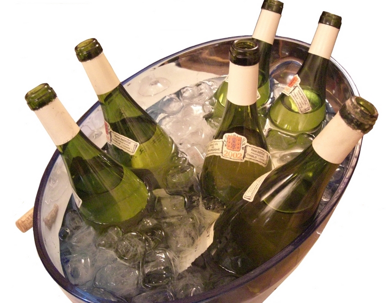 Wine bottles chilling in a bucket of ice