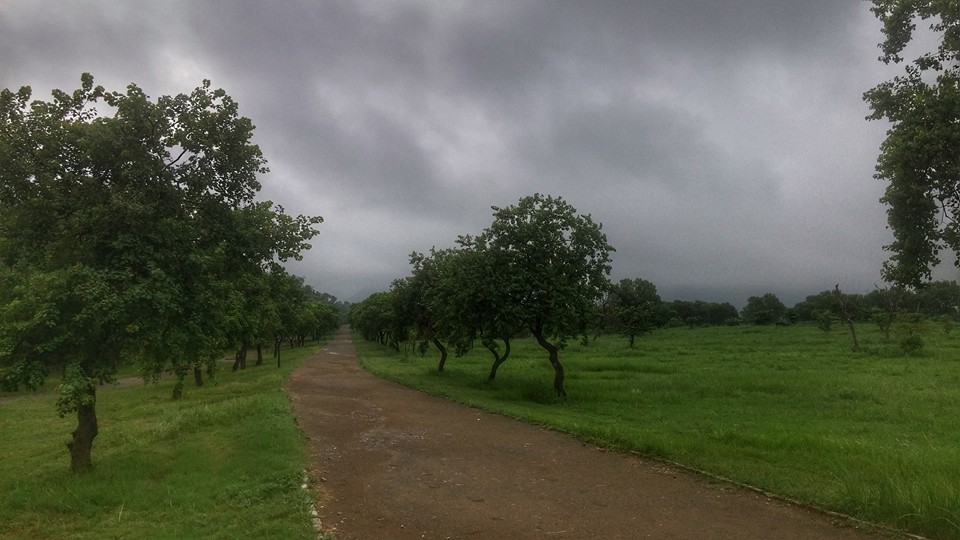 A jogging track in Fatima Jinnah Park