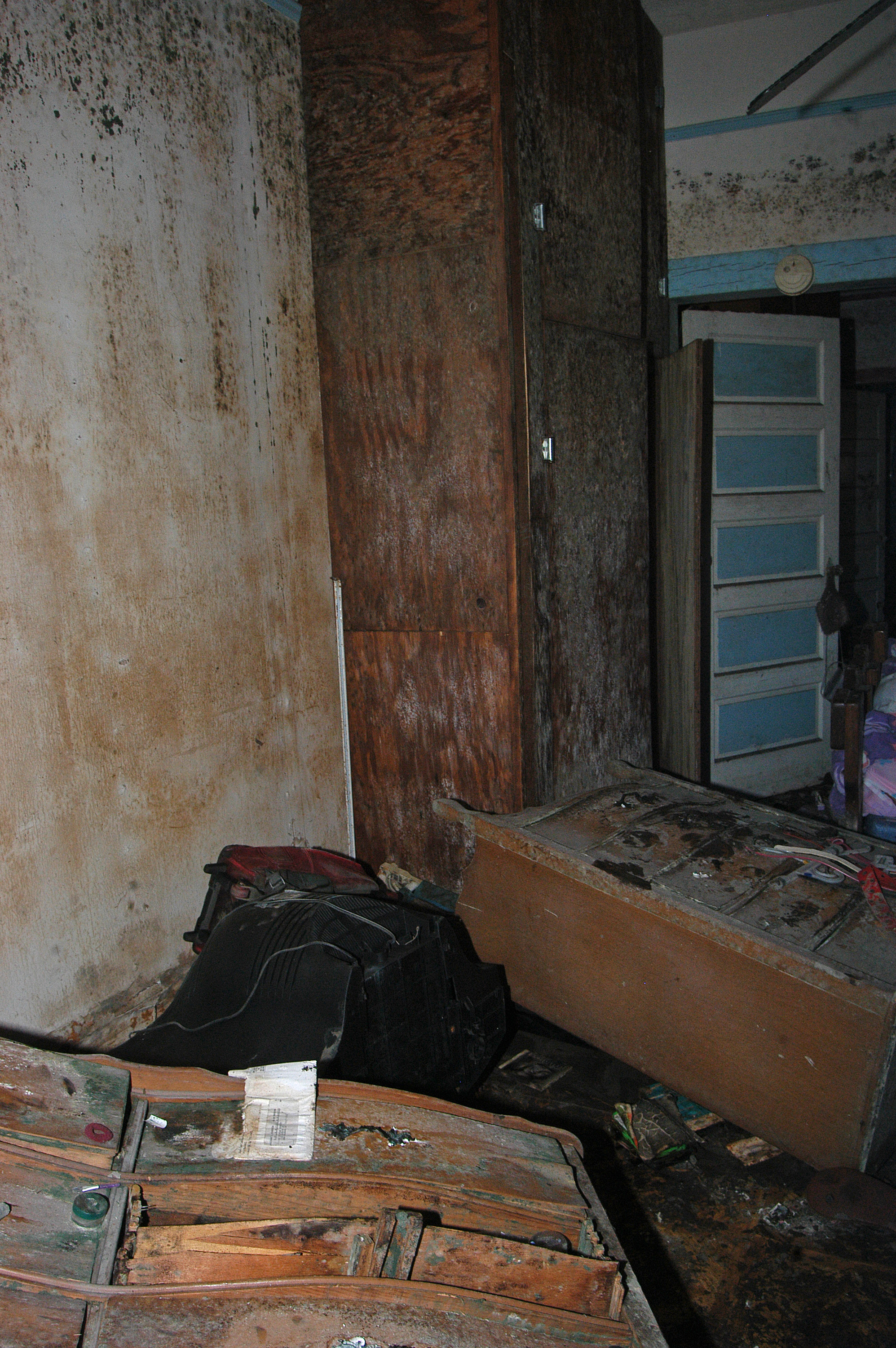 Mould damage on walls after water exposure