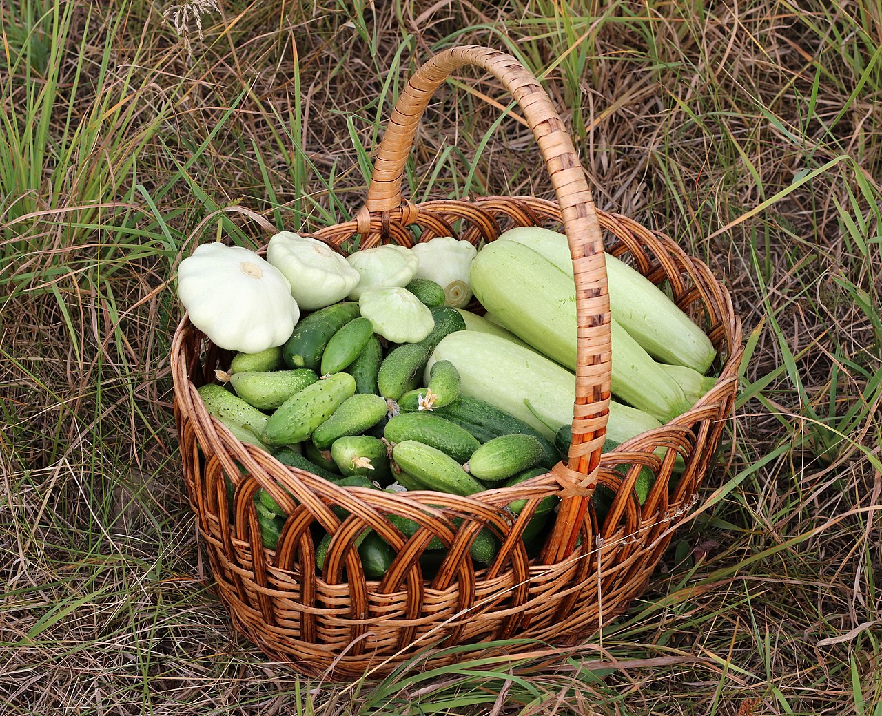 A basket of fresh vegetables