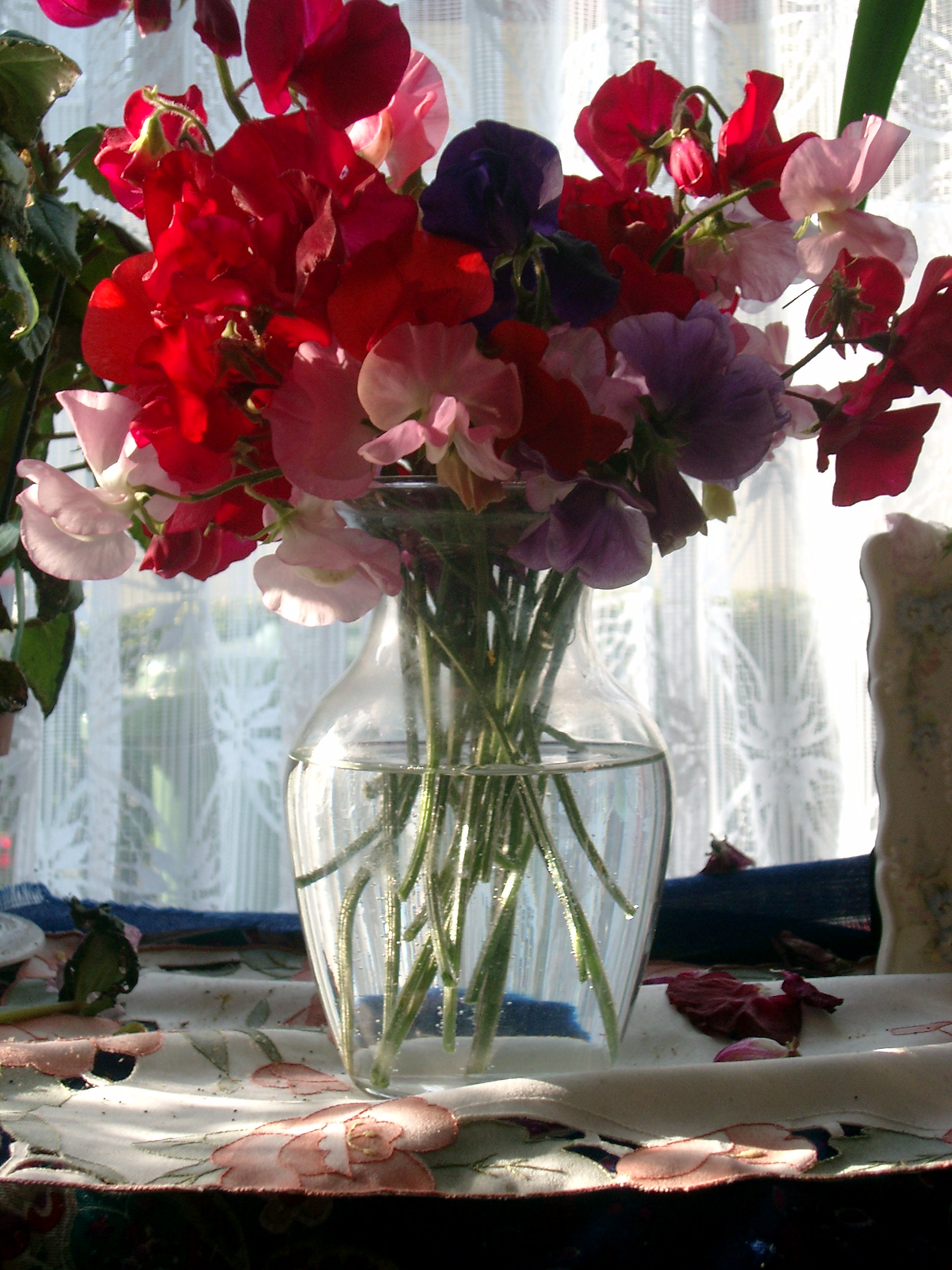 Cut flowers in a vase showing fresh stems