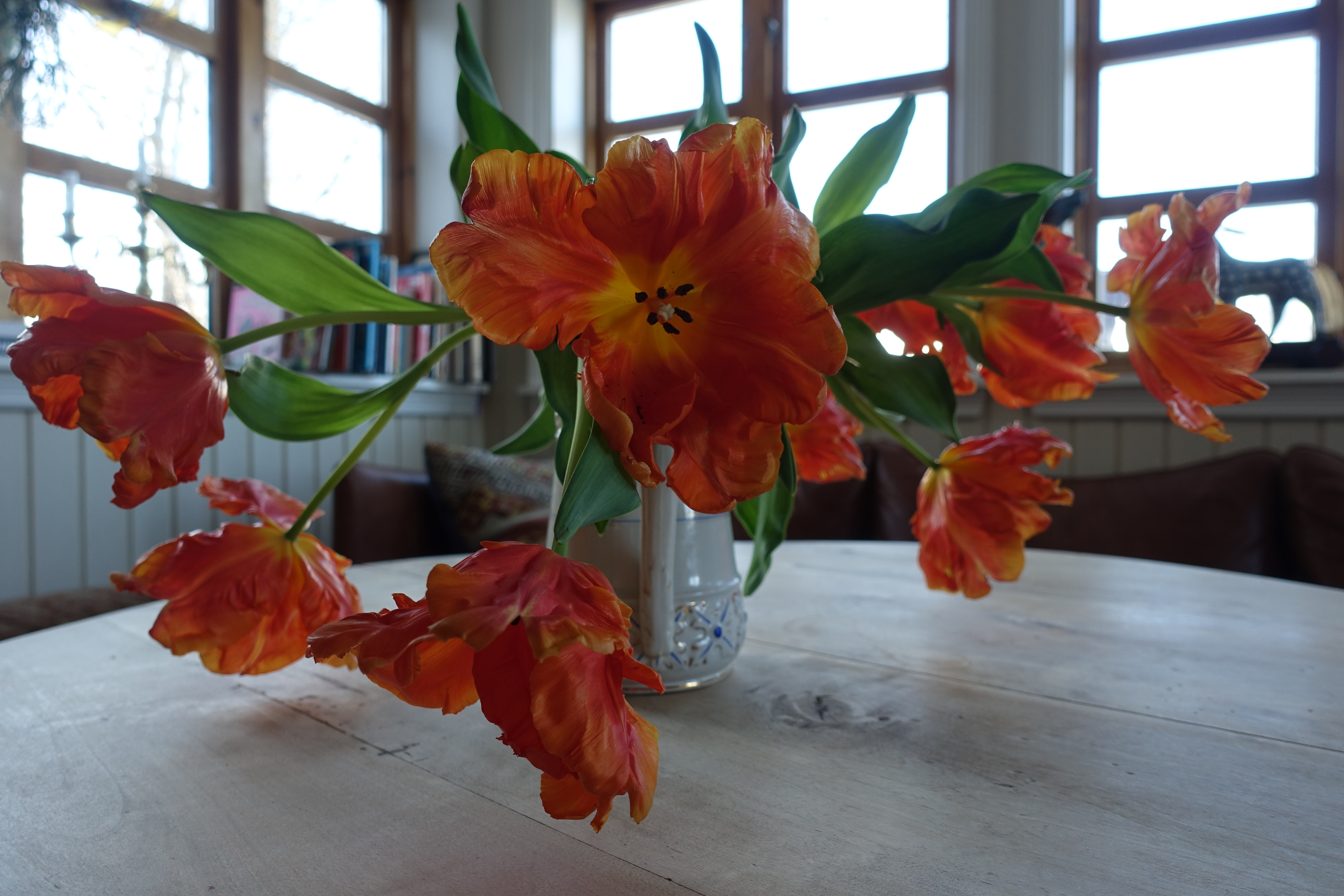 Orange tulips in a vase on a table