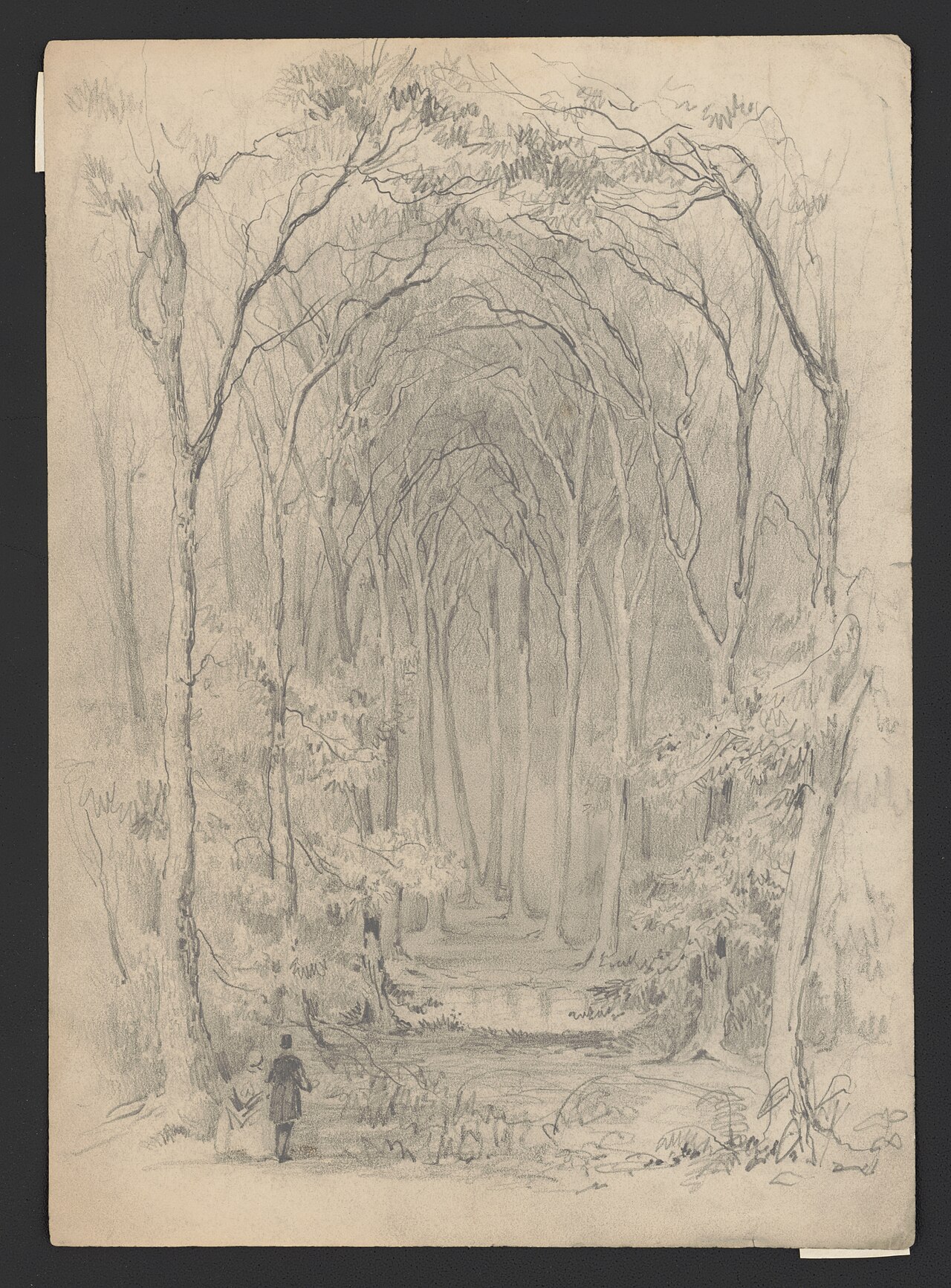 An illustration of two walkers at a forest trail entrance