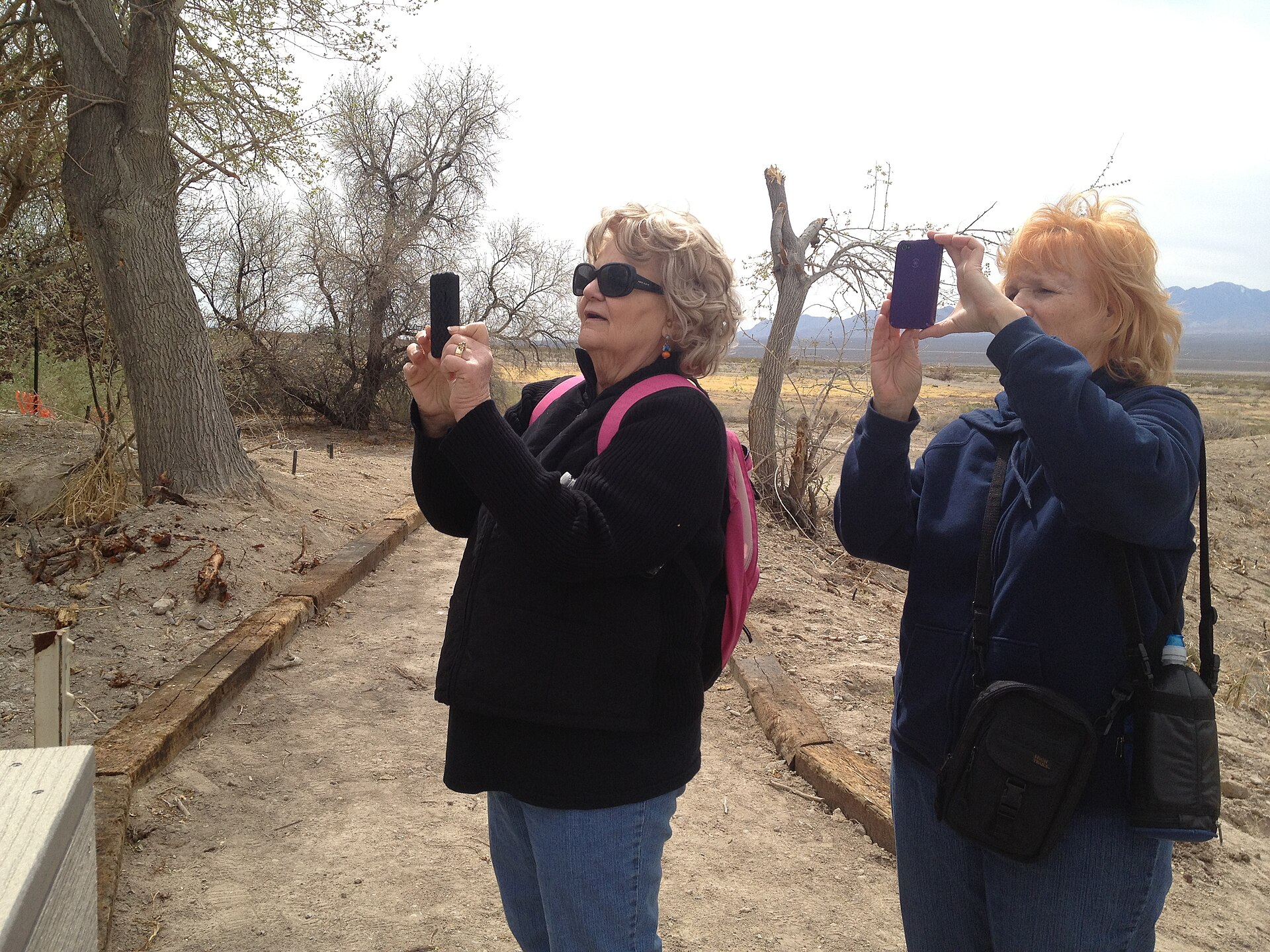 Two people taking photos with their phones outdoors
