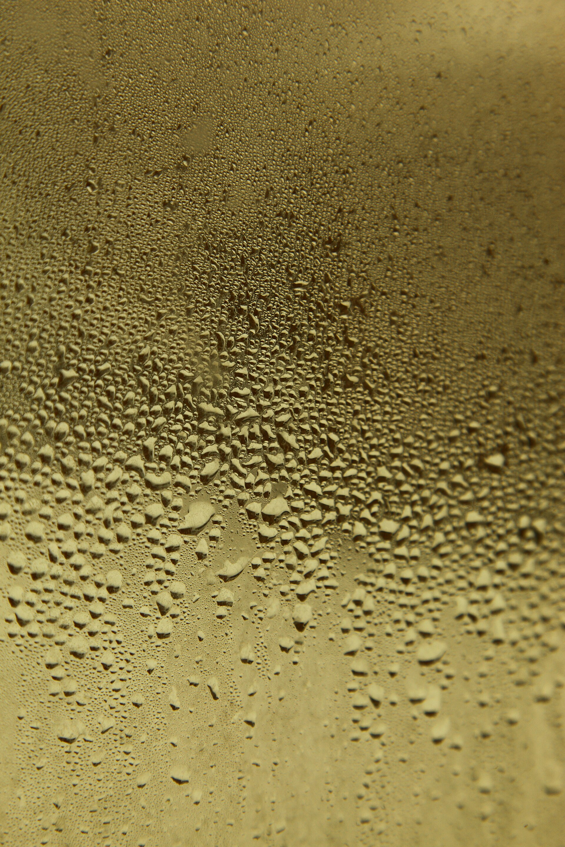 Water droplets condensed on a pane of glass