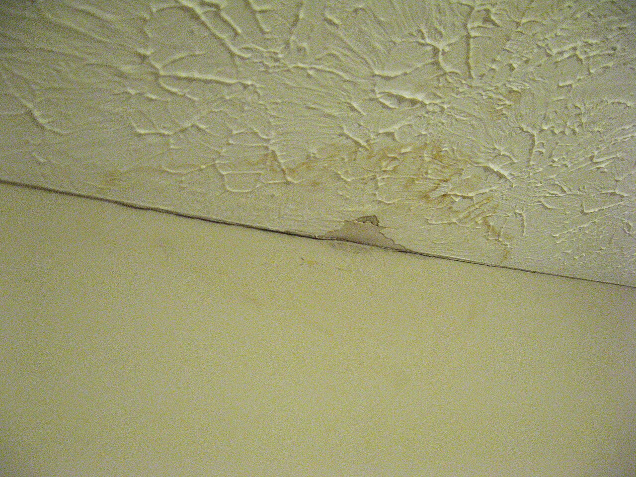 Water damage and peeling paint where a ceiling meets the wall