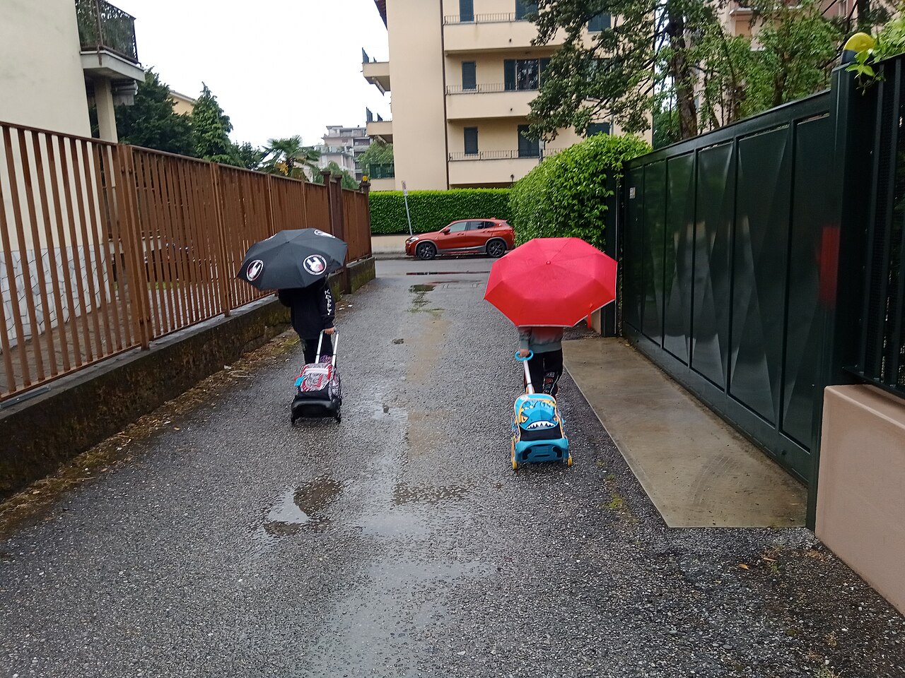 Two children with umbrellas and rolling schoolbags walking to school in the rain