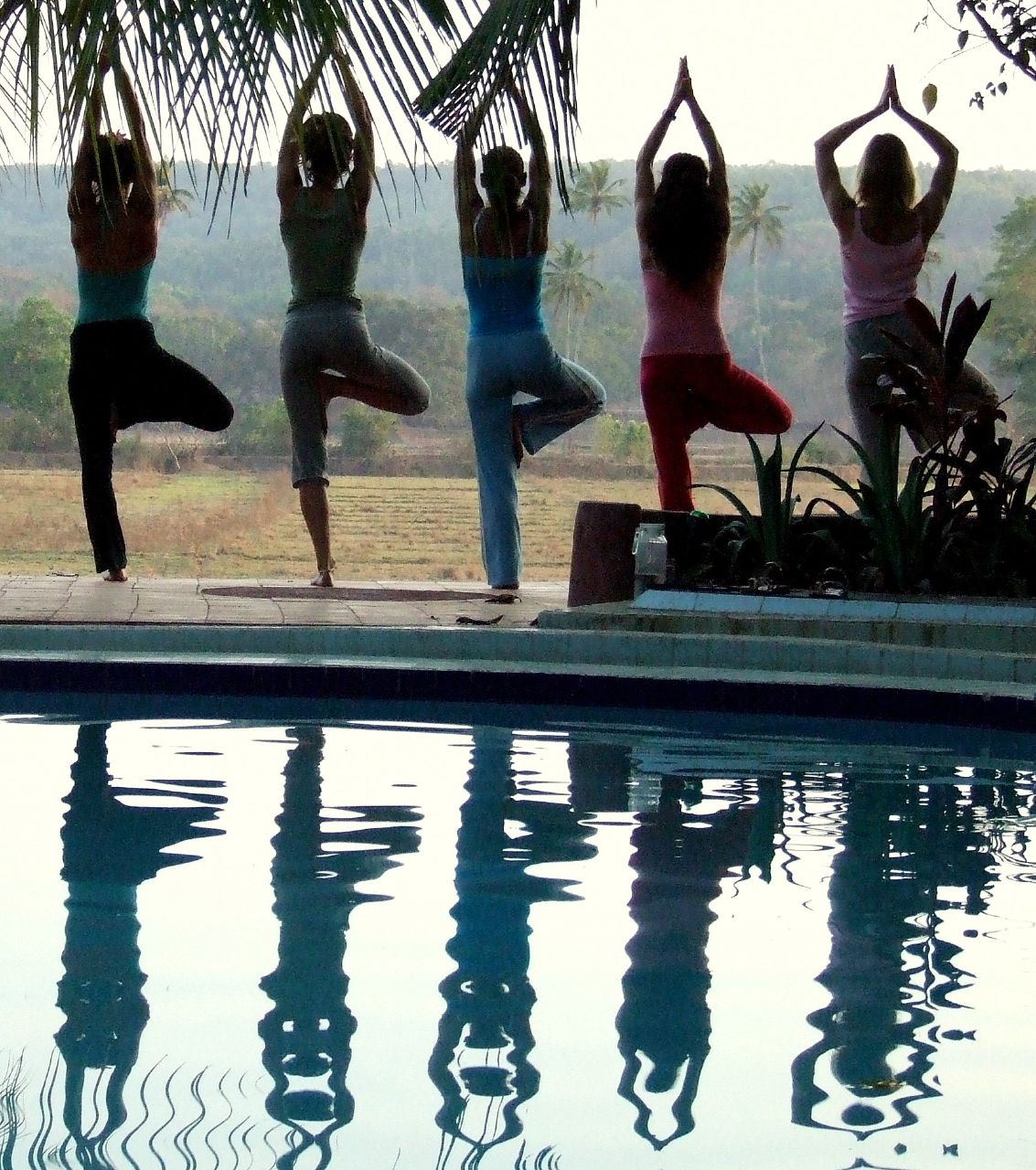A person holding the tree pose yoga position for balance