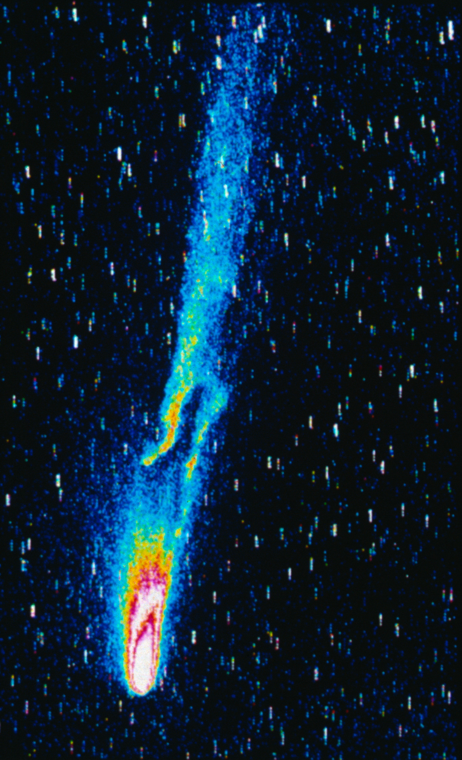 Comet 1P/Halley with its long bright tail